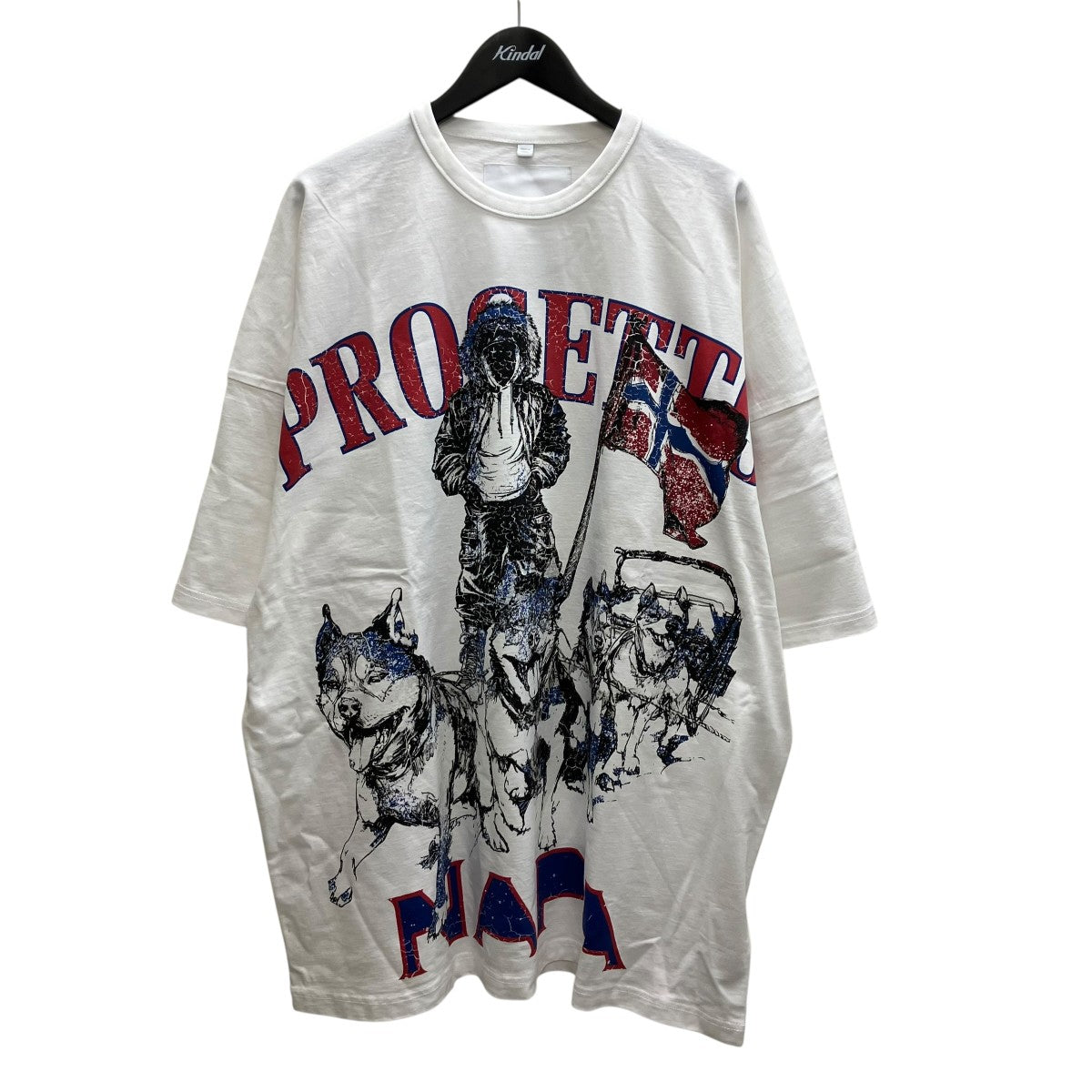 NAPAPIJRI プリントTシャツ 古着・中古-1枚目のアイテム画像