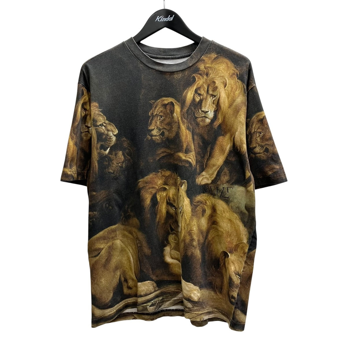 Supreme Lions’ Den S S Top Multi半袖Tシャツ 古着・中古-1枚目のアイテム画像