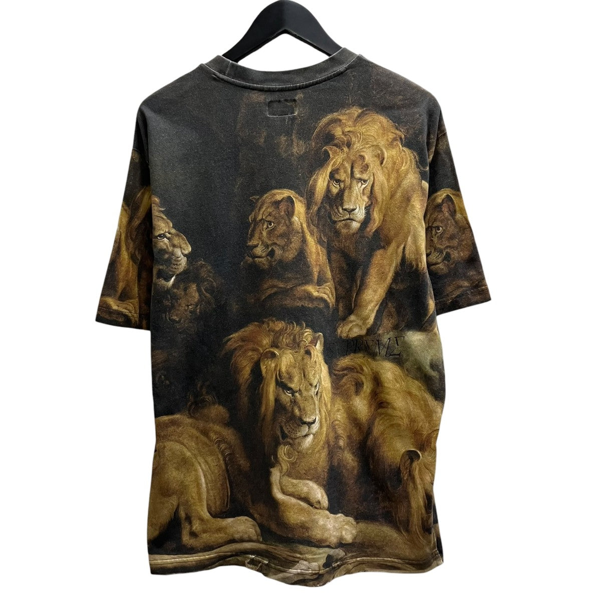 Supreme Lions’ Den S S Top Multi半袖Tシャツ 古着・中古-2枚目のアイテム画像