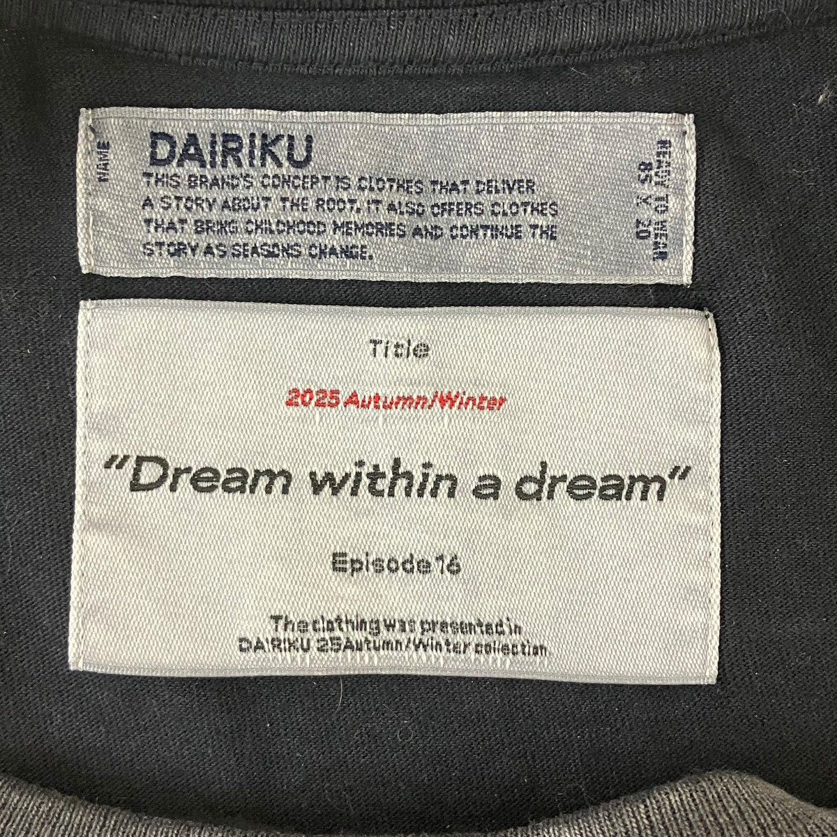 DAIRIKU PARADOX Embroidery Switching Tee フロント刺繍カットソー 古着・中古-6枚目のアイテム画像