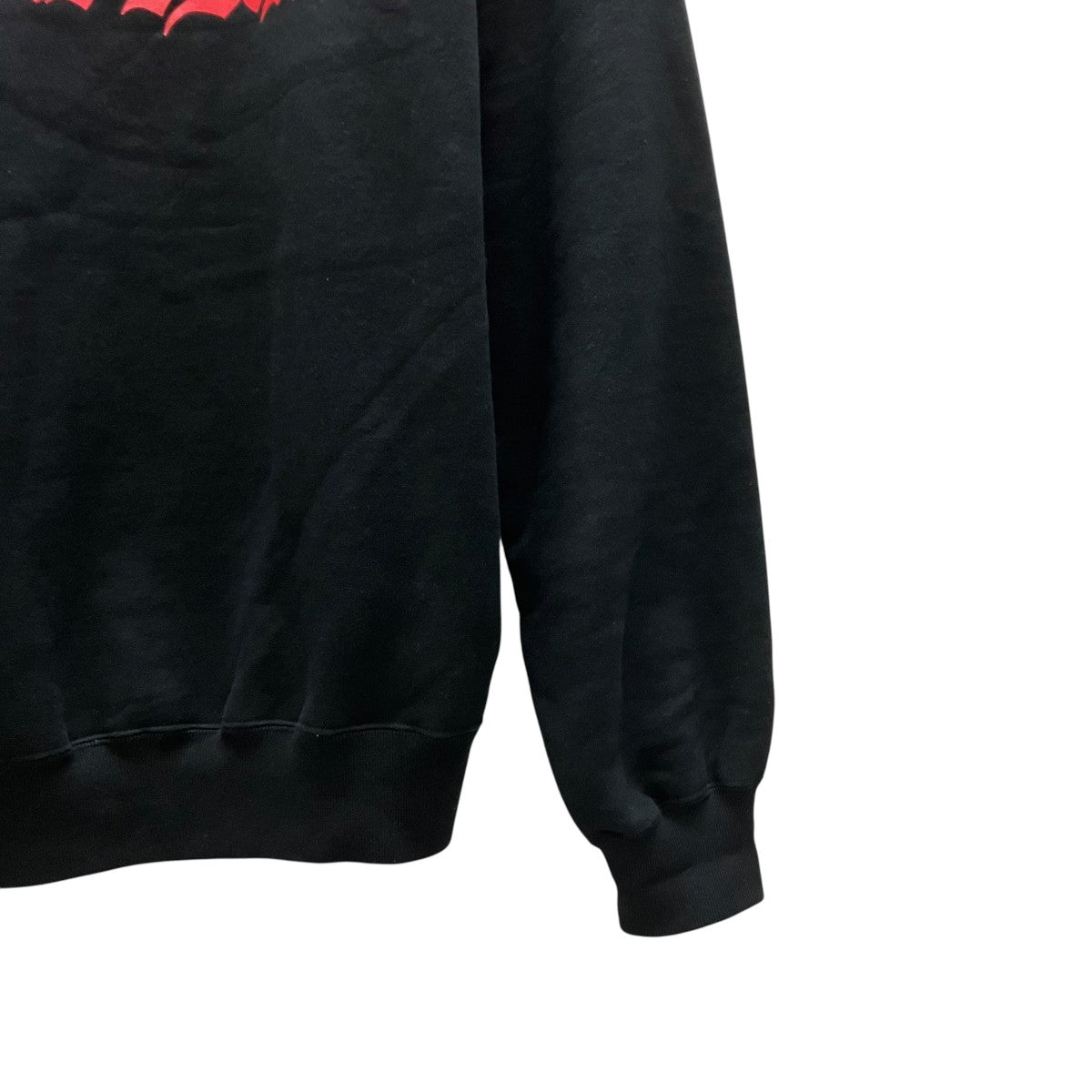 GARMENT DYED SWEAT SHIRTプリントスウェット