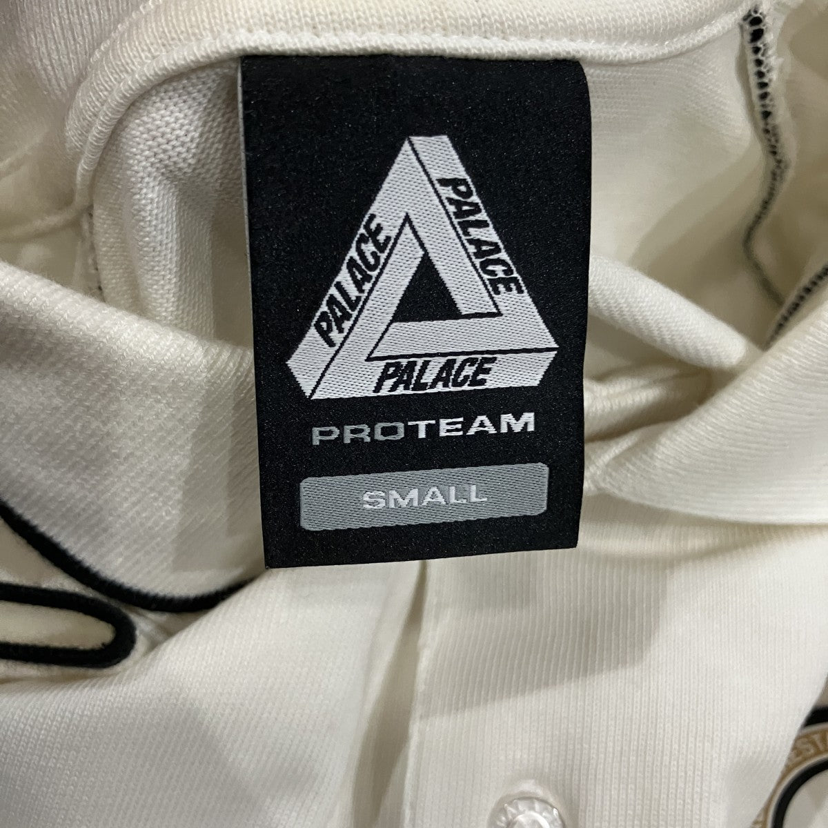 PRO TEAM PIPED POLO