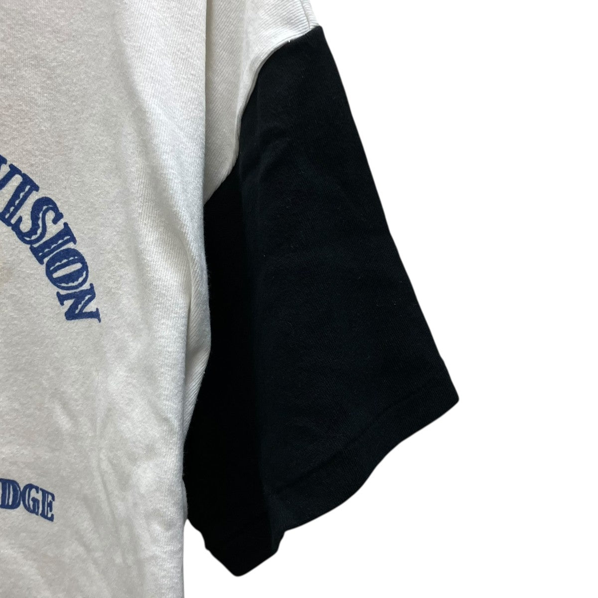 101ST AIRBORNE DIV． RIBBED SS CS AGED USED加工プリントTシャツ