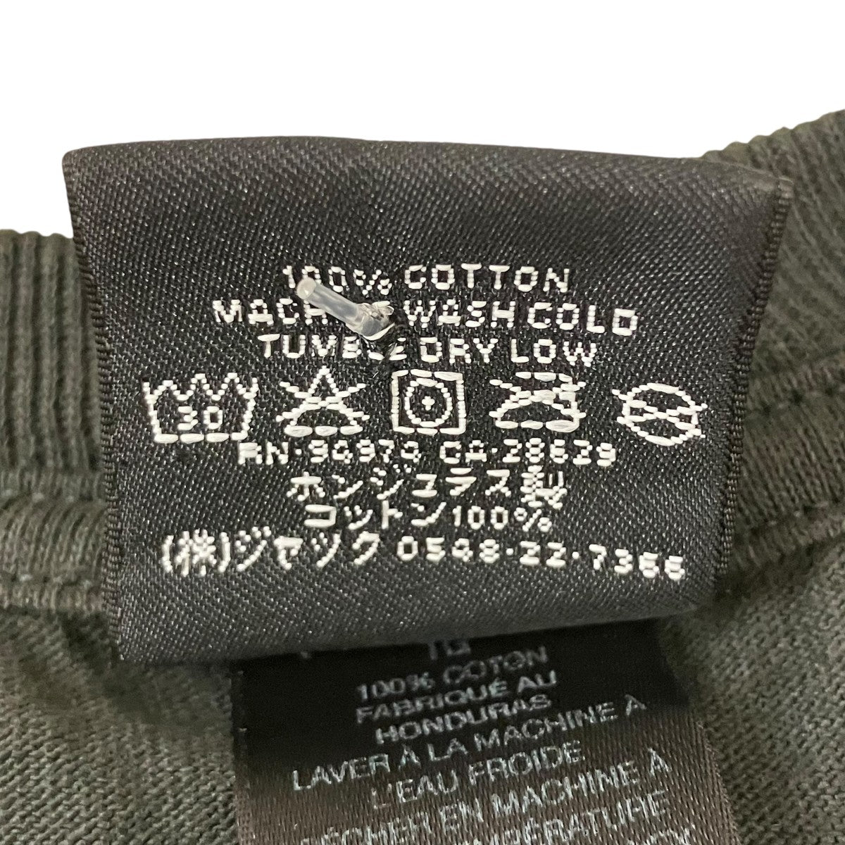 Link Sport Tee Pigment Dyed Pine バックプリントTシャツ