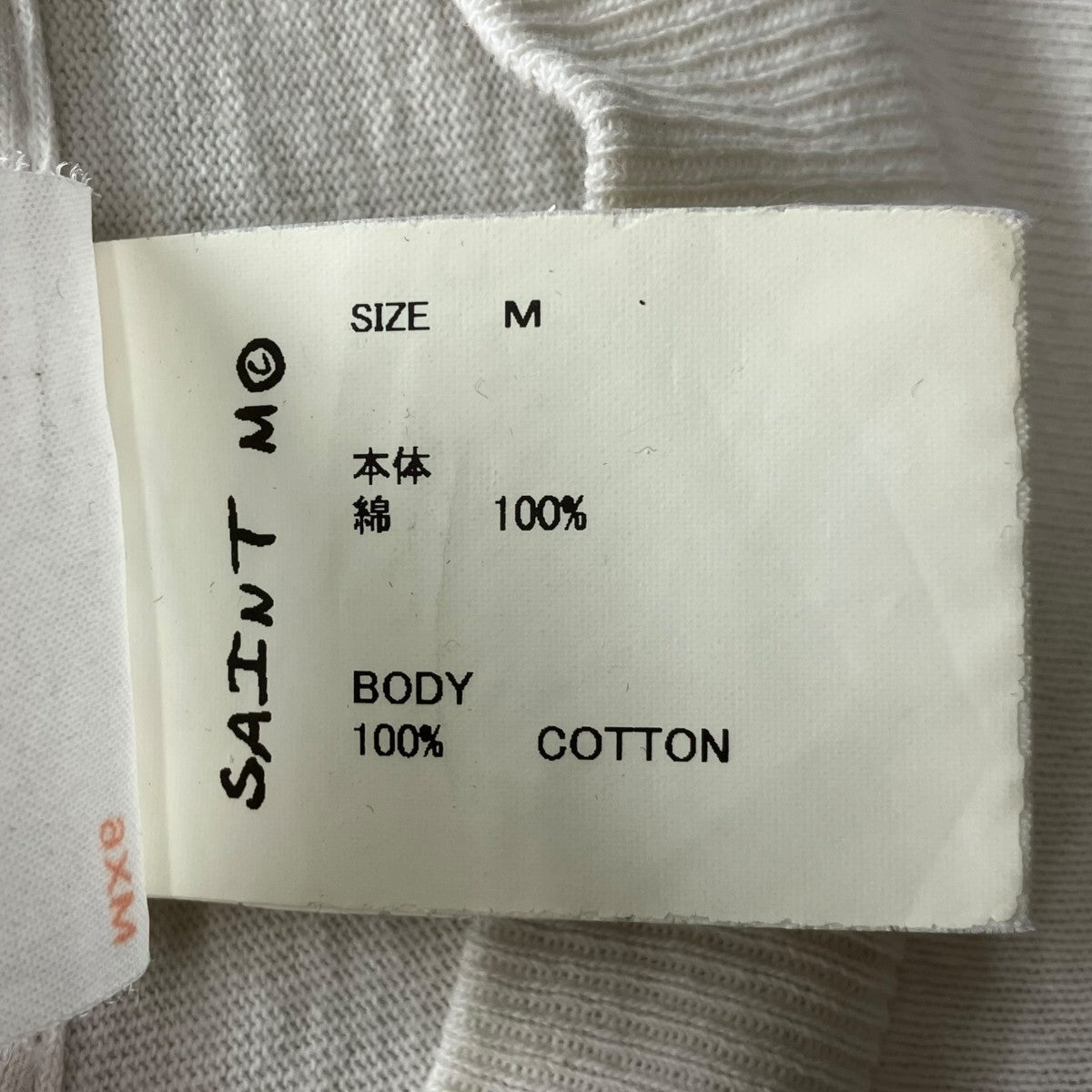 S S TEE DIRTY PIGプリントTシャツ
