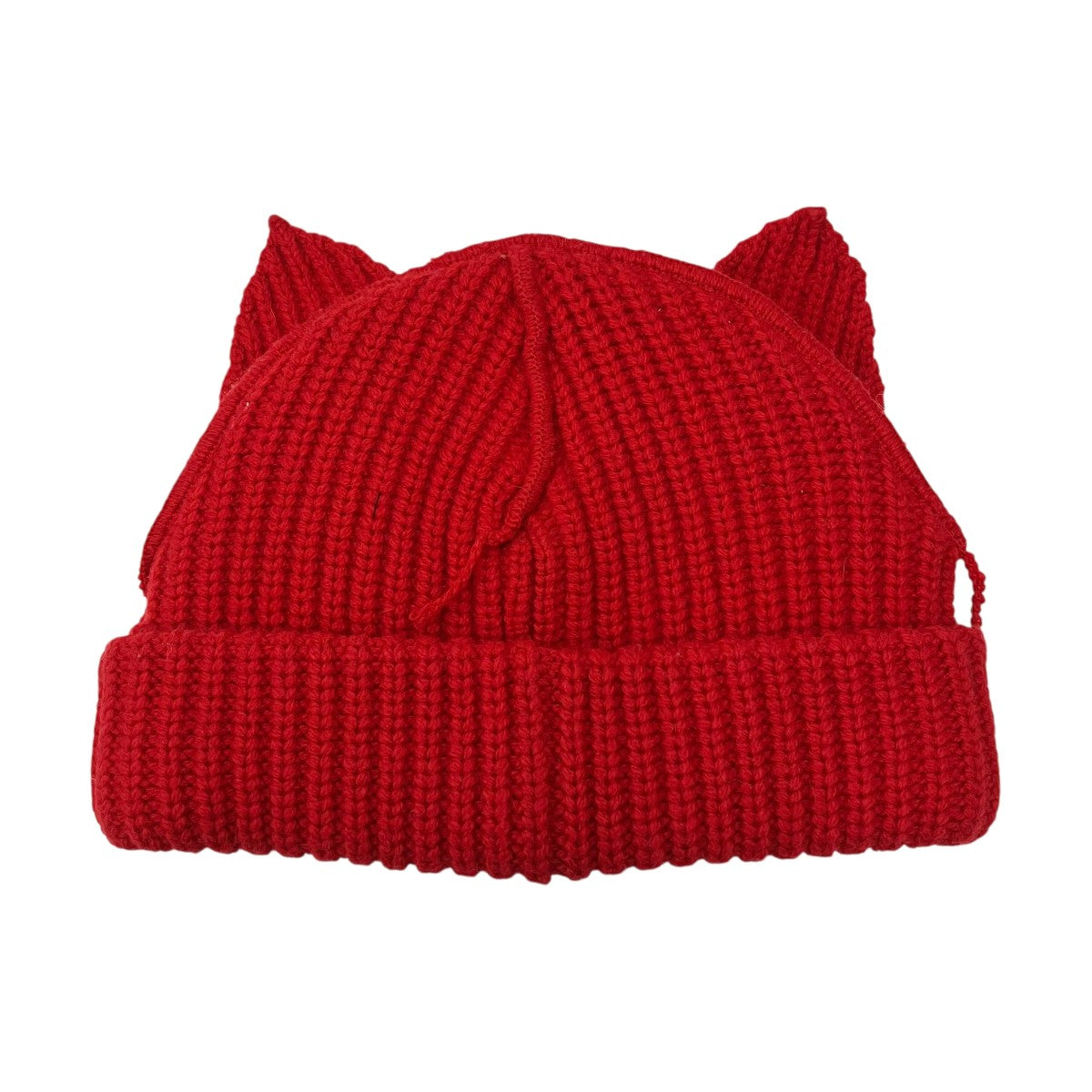 CHUNKY PUNK EARS BEANIEニットキャップ