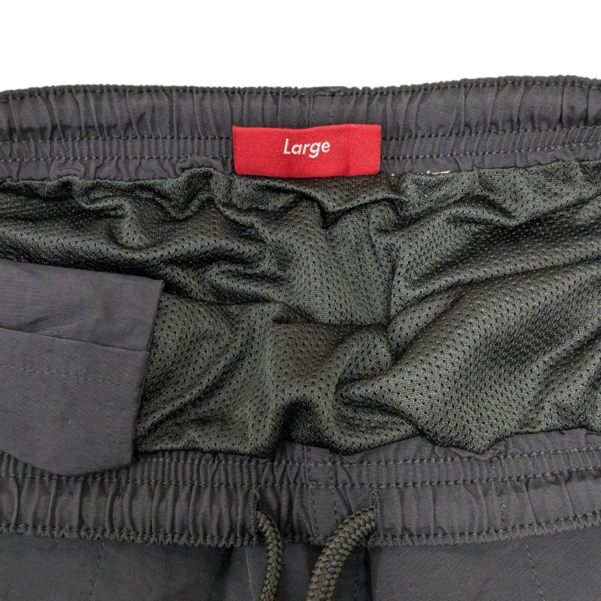 Small Box Logo Nylon Water Shortナイロンショーツ