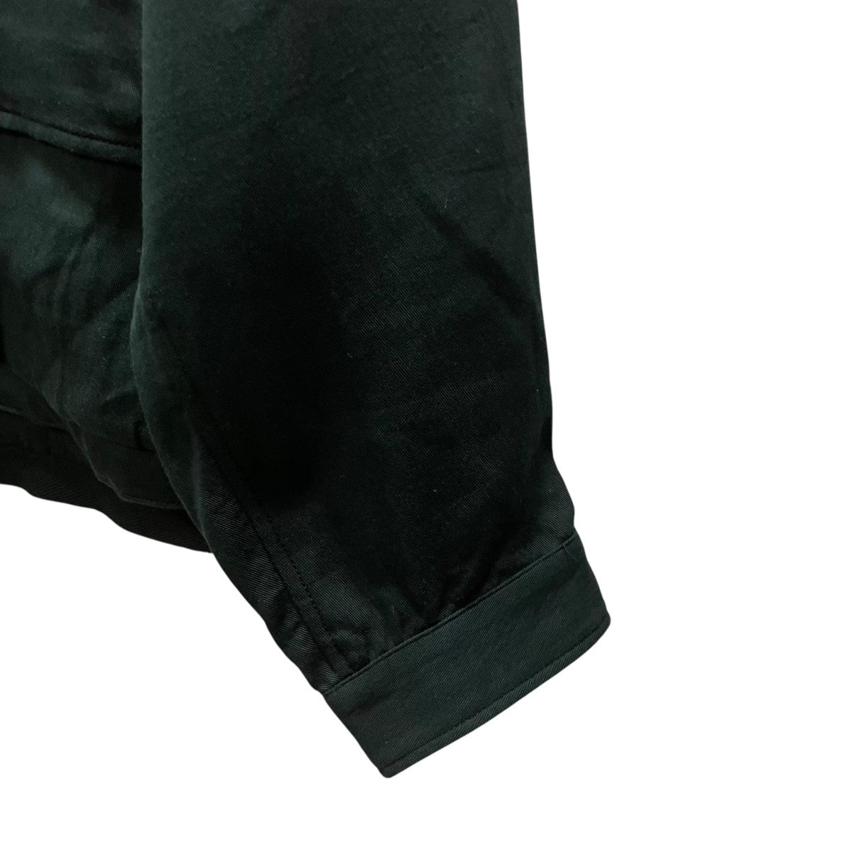 25AW CHAMBER   LS   COTTON． TWILL コットンデザインパーカー
