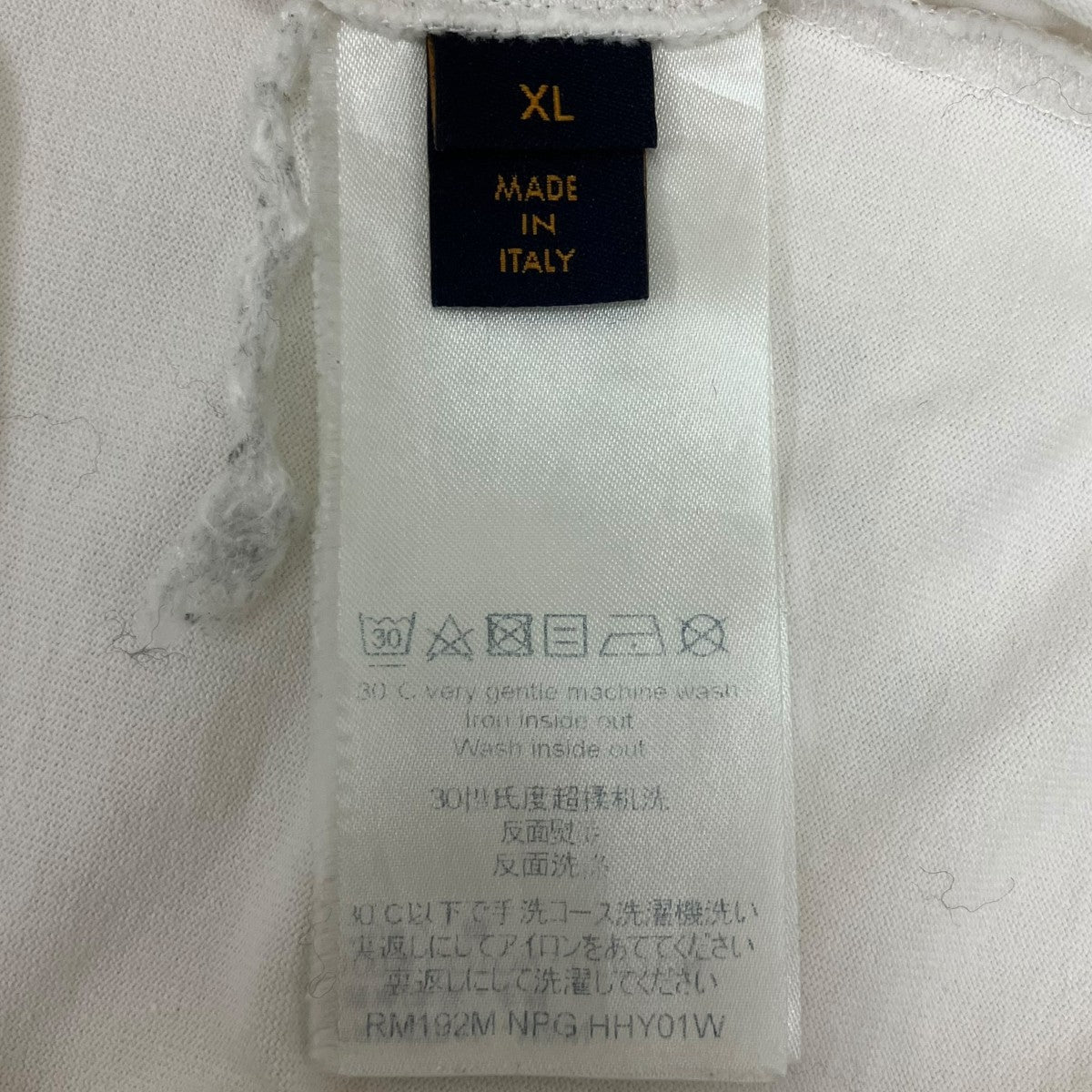 LOUIS VUITTON(ルイヴィトン) ホーリー マウンテン プリント Tシャツ