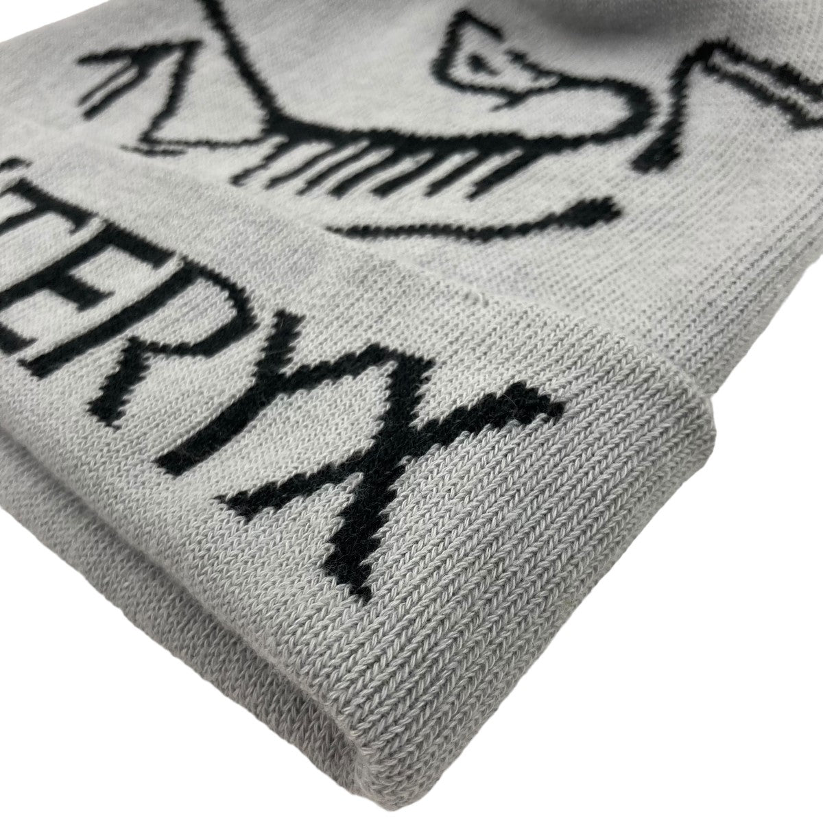 ARC'TERYX(アークテリクス) Bird Word ToqueビーニーX000006644
