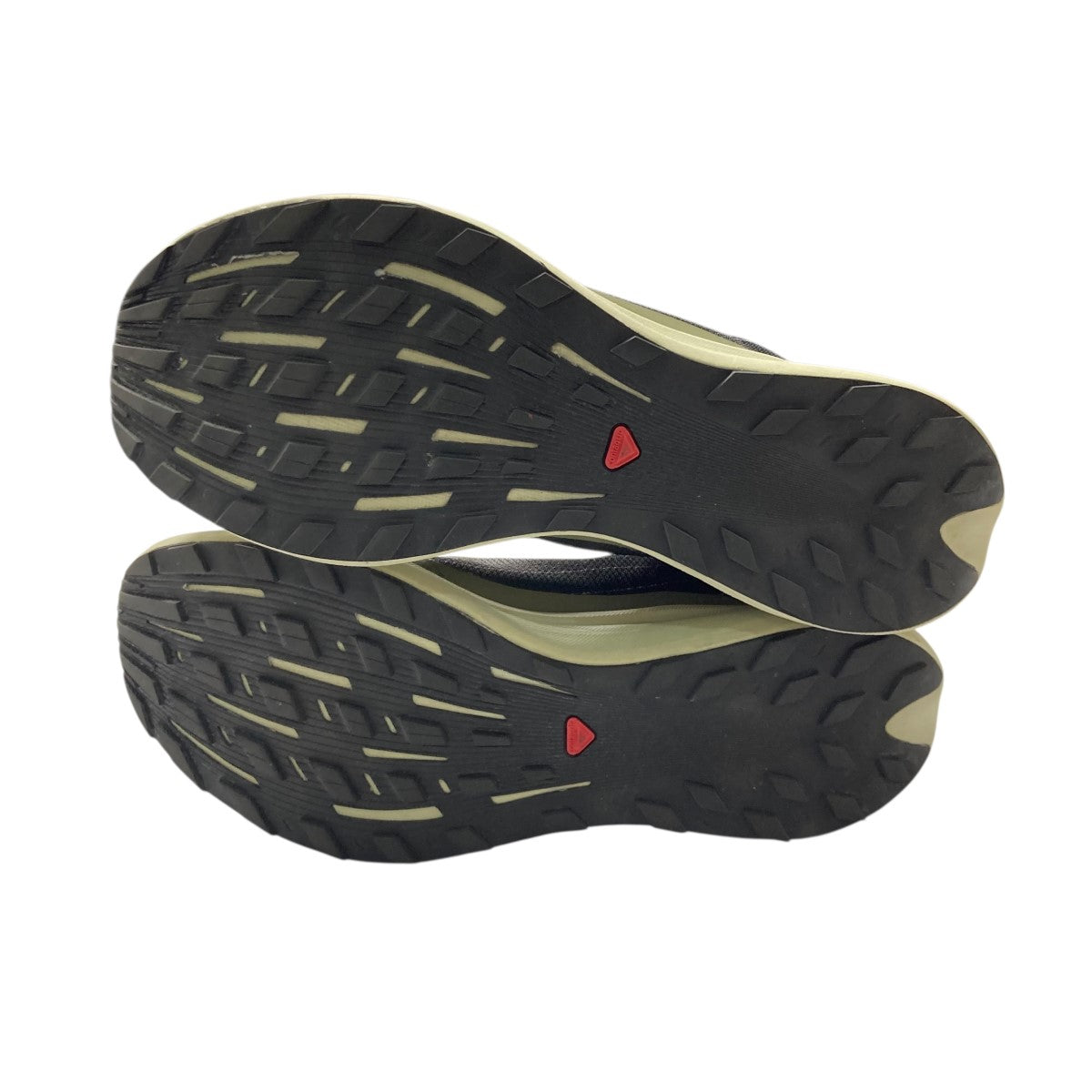 SALOMON(サロモン) PULSAR REFLECTIVE ADVANCEDスリッポン473163
