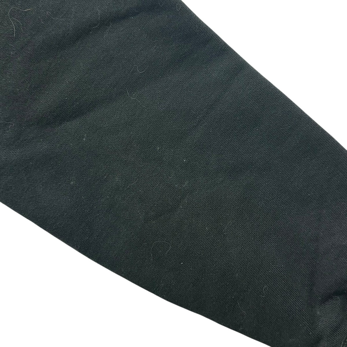 WORLD TOUR CREWプリントスウェットIND5000CC