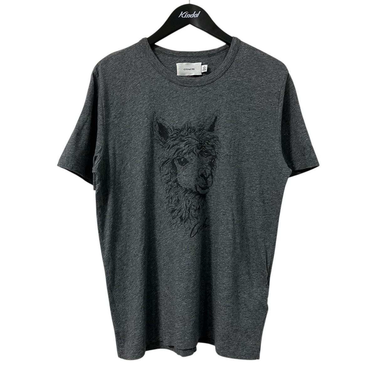 Alpaca Graphic T ShirtフロントプリントＴシャツC5523