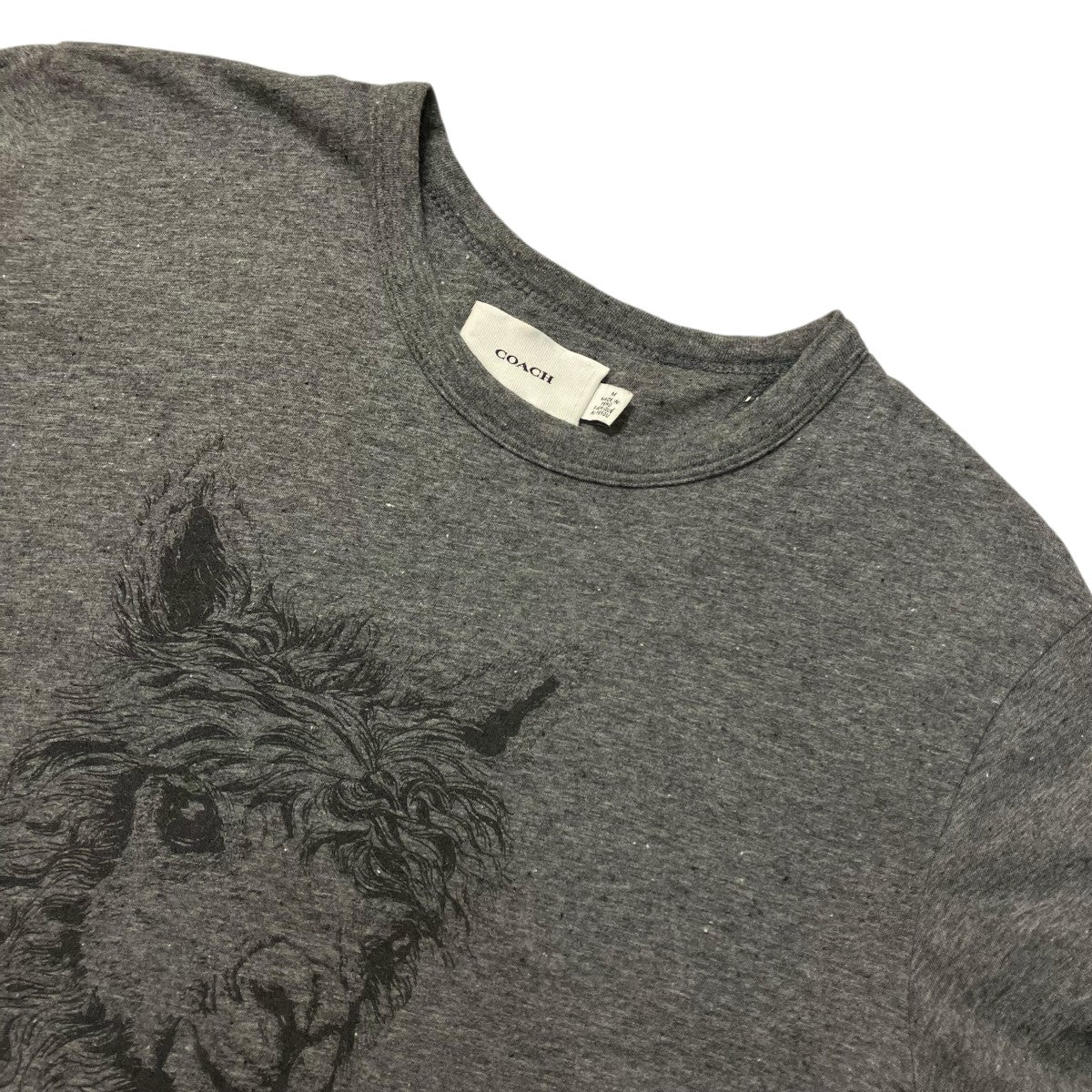 Alpaca Graphic T ShirtフロントプリントＴシャツC5523