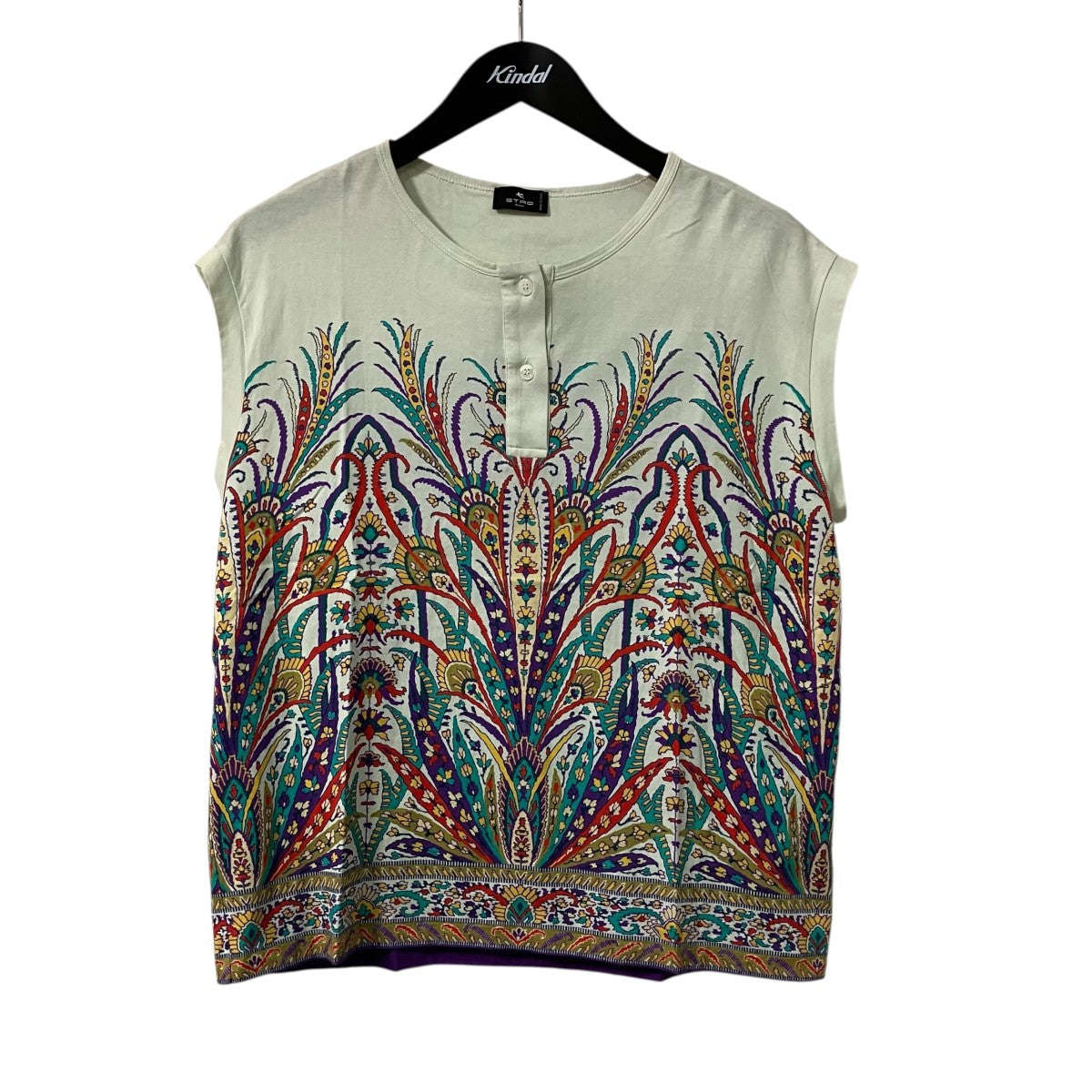 ETRO グラフィック ヘンリーネック Tシャツノースリーブカットソー241 WRJB0001 AJ009 古着・中古-1枚目のアイテム画像