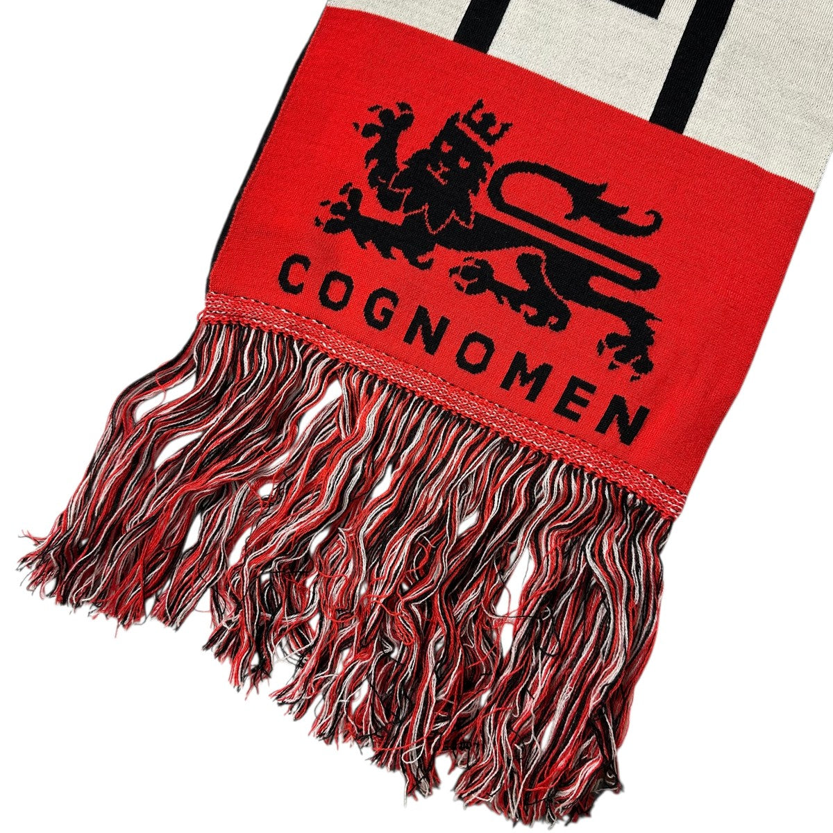 HOOLIGAN BALACLAVA SCARFフードマフラーUN AC U01