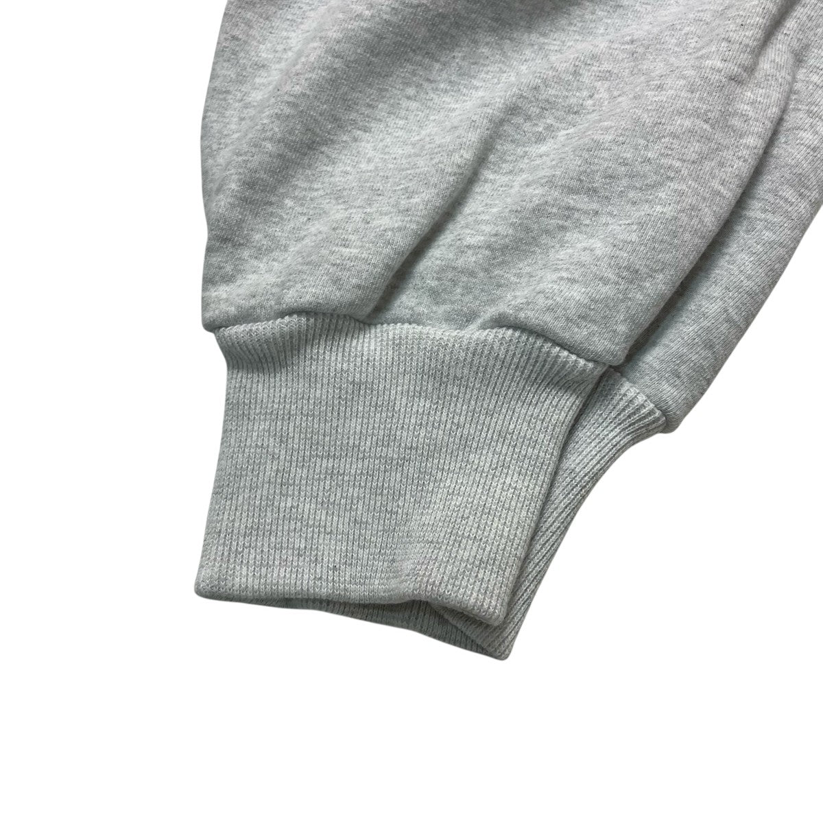 JUVENILE SWEAT SHIRT (BIG)ヘビーオンススウェットJ0065