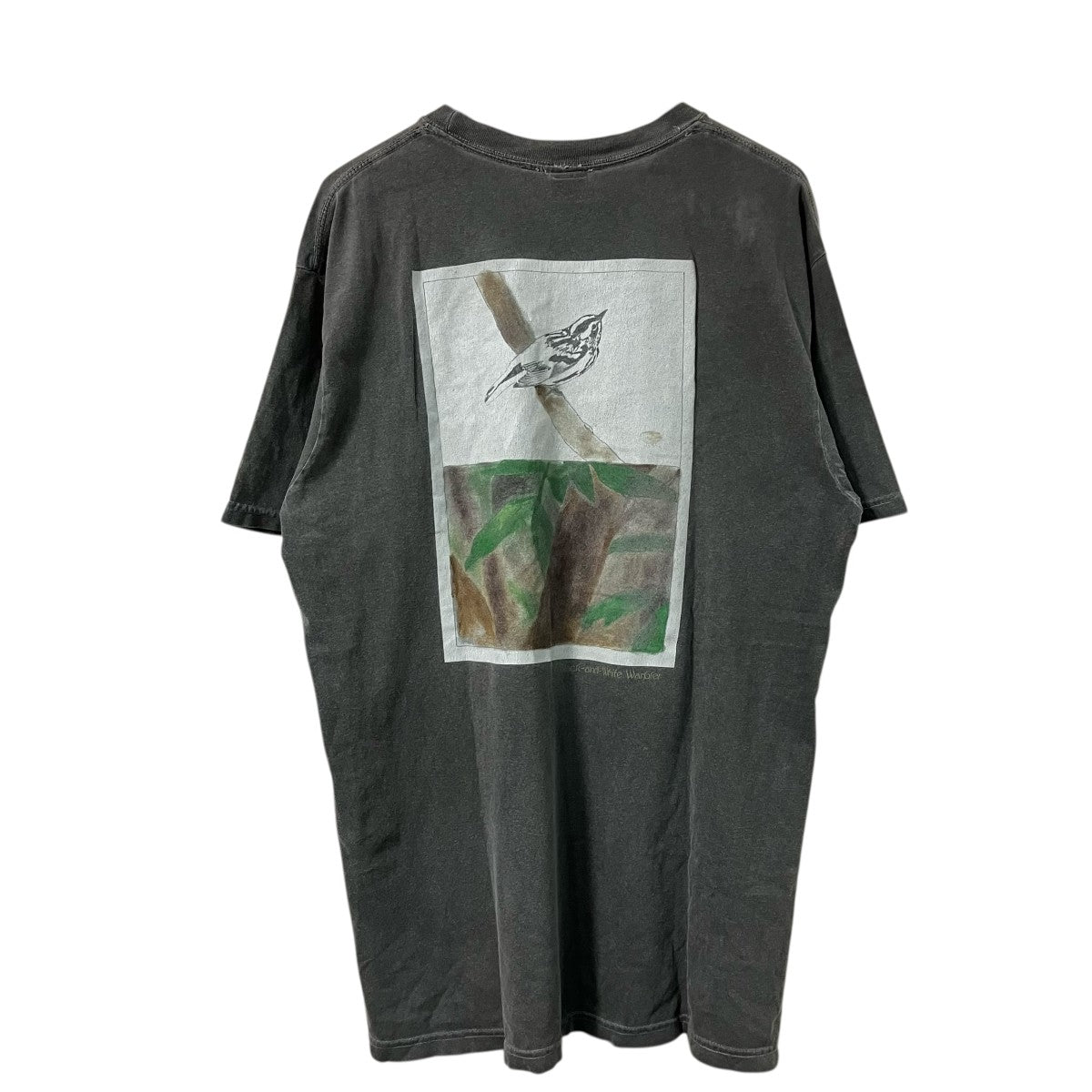 Noah ダメージTシャツ 古着・中古-2枚目のアイテム画像