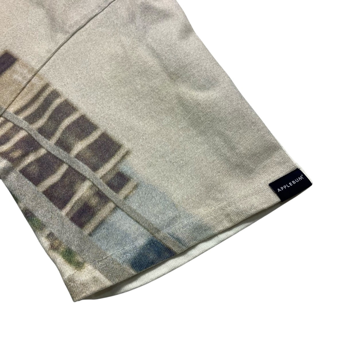 APPLEBUM フルグラッフィックＴシャツ 古着・中古-4枚目のアイテム画像