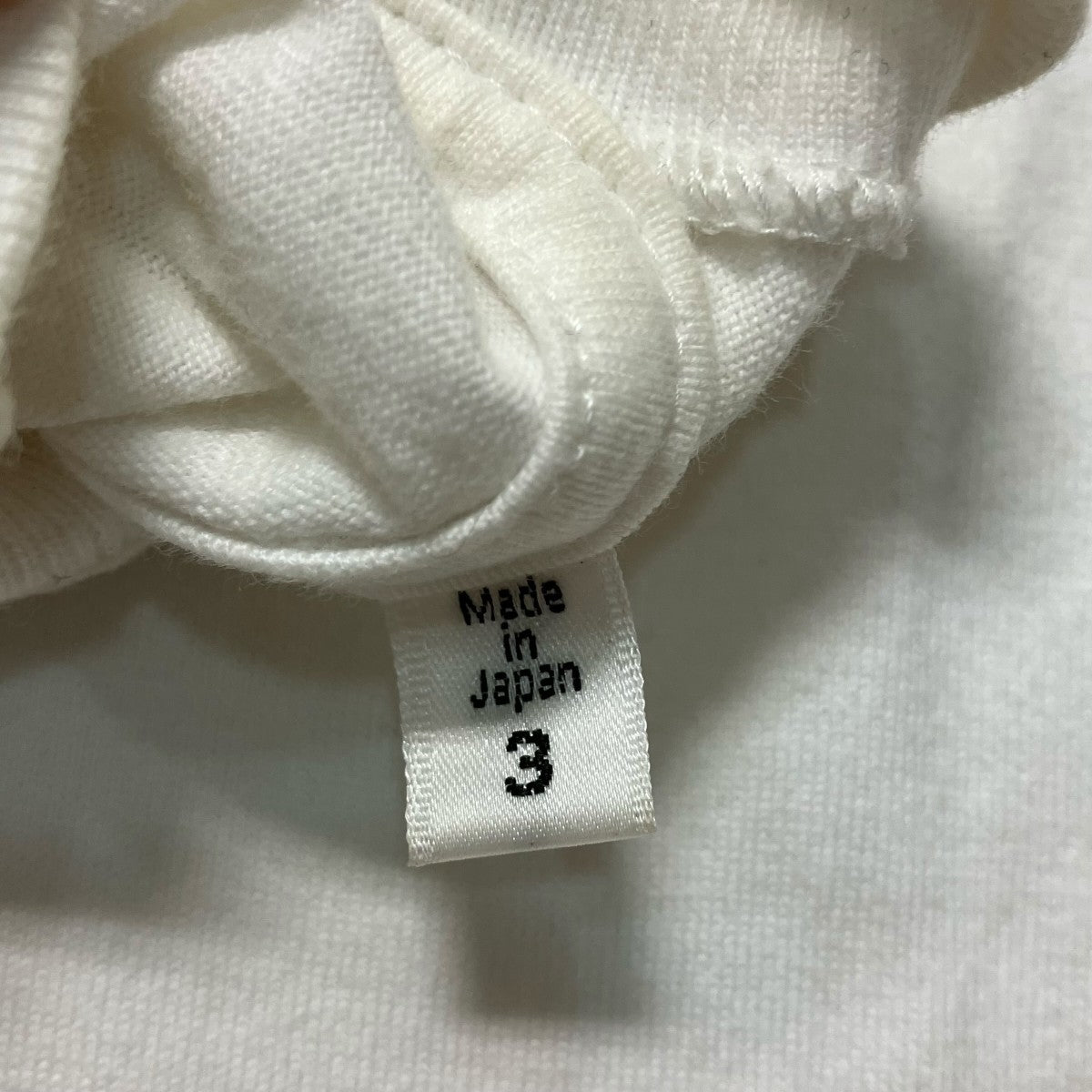 blurhms プリントTシャツbROOTS23S34 古着・中古-10枚目のアイテム画像