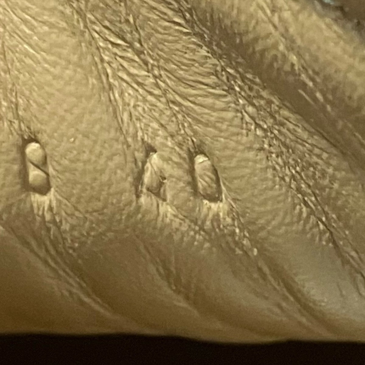 DRIES VAN NOTEN ローカットスニーカーDU1088 古着・中古-6枚目のアイテム画像