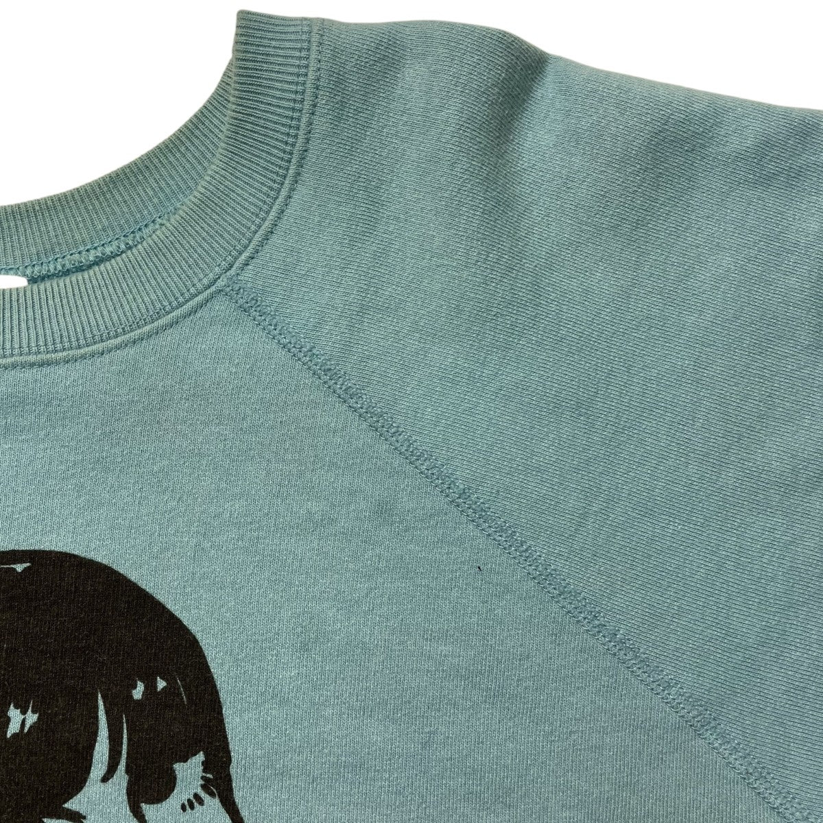godard haberdashery JANE BIRKIN PRINTプリントラグランスウェット 古着・中古-6枚目のアイテム画像