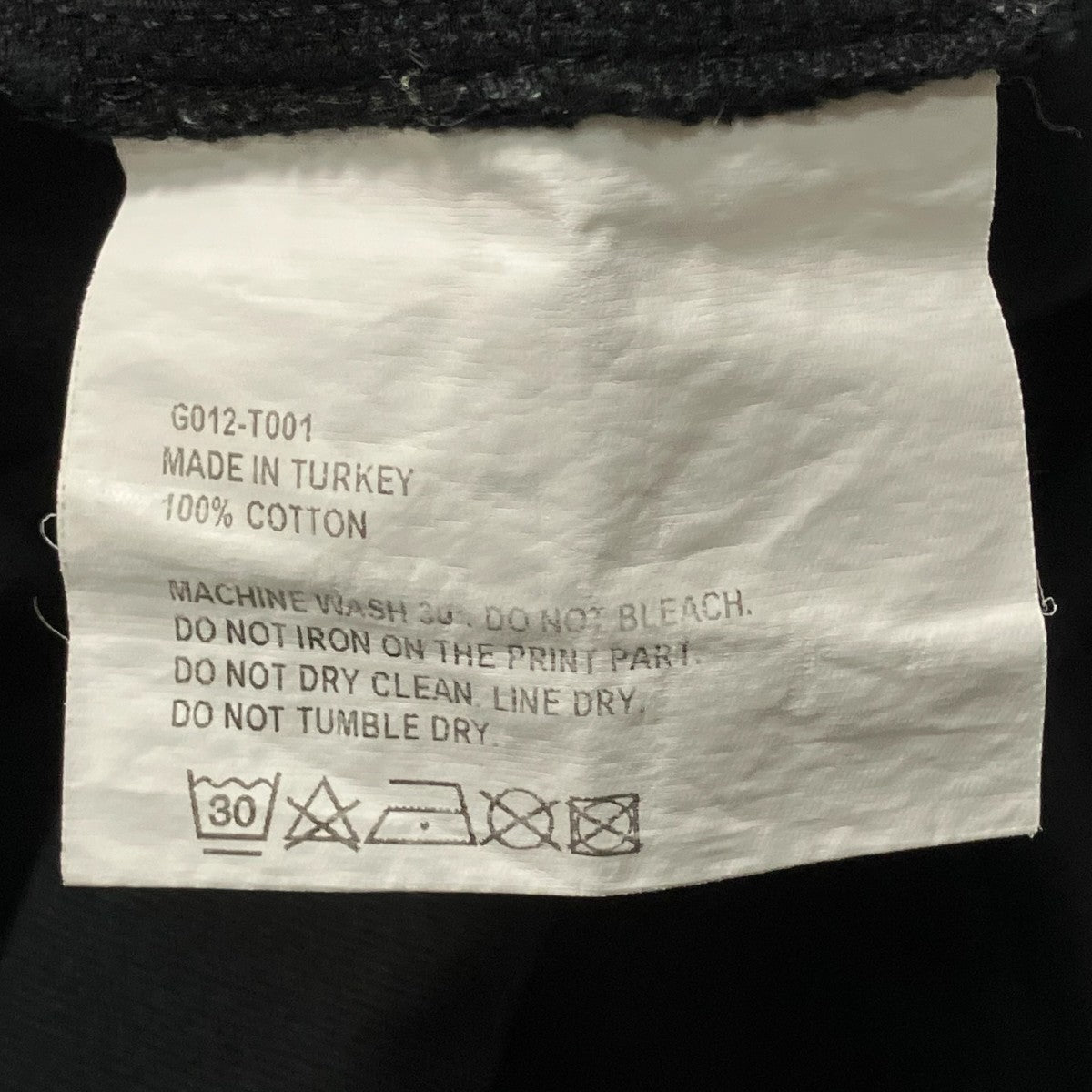 フロントプリントＴシャツG012 T001