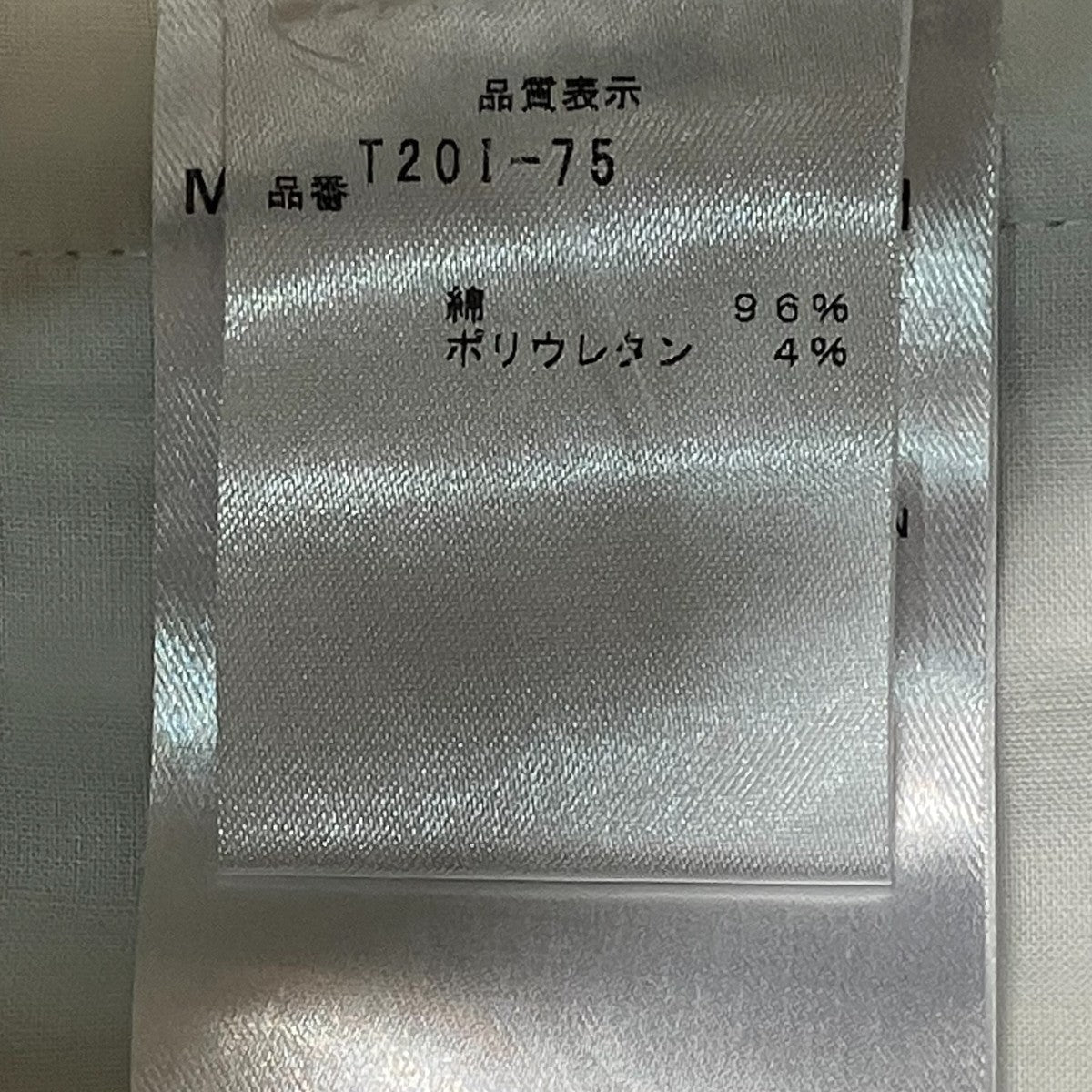 ストライプパンツT20I-75