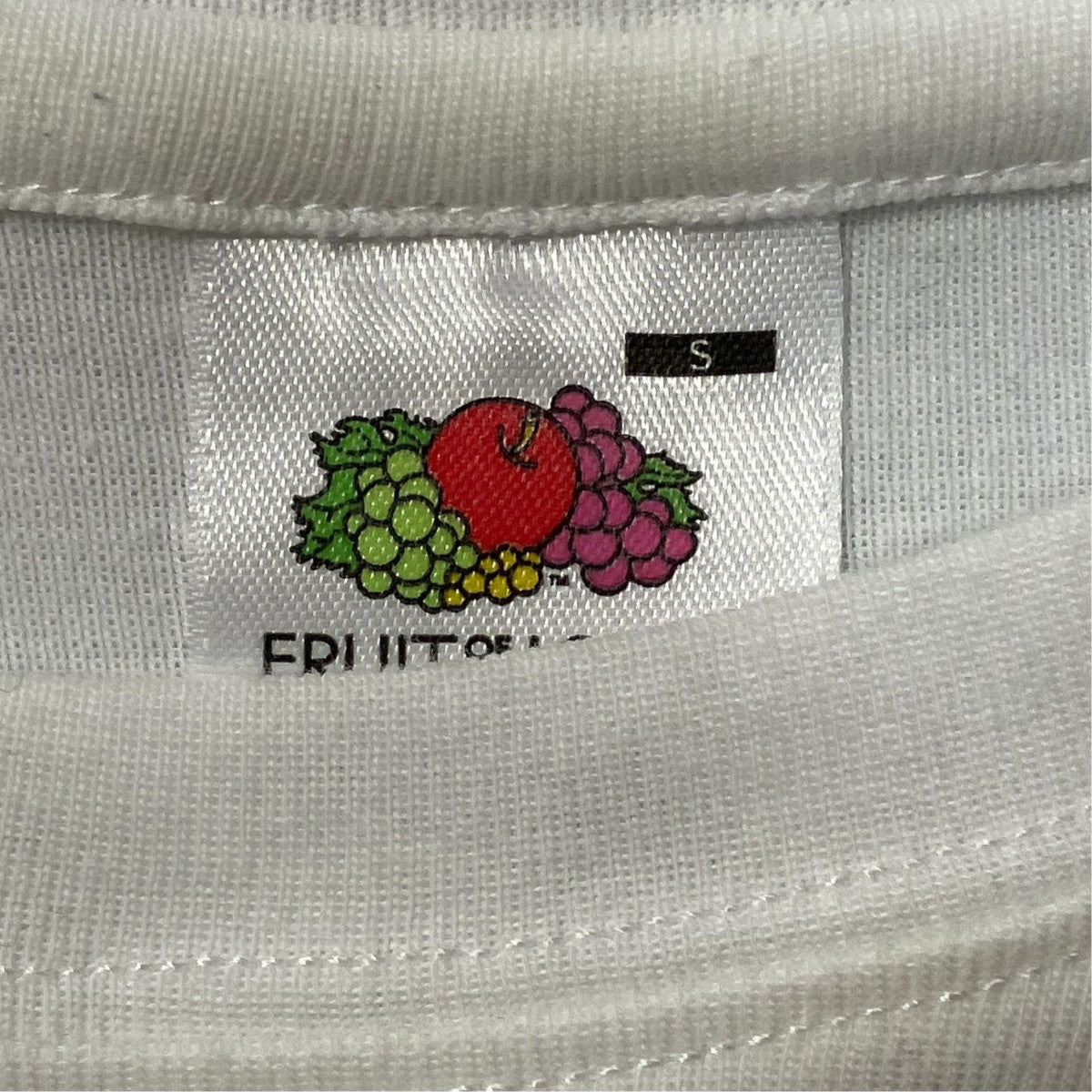 タイトTシャツ4310900201