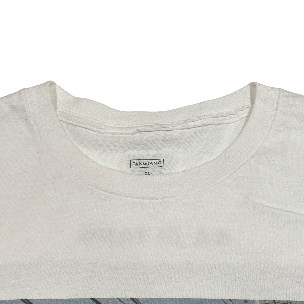 TANGTANG ×ZAZEN BOYZ×GASATANG半袖Tシャツ 古着・中古-6枚目のアイテム画像