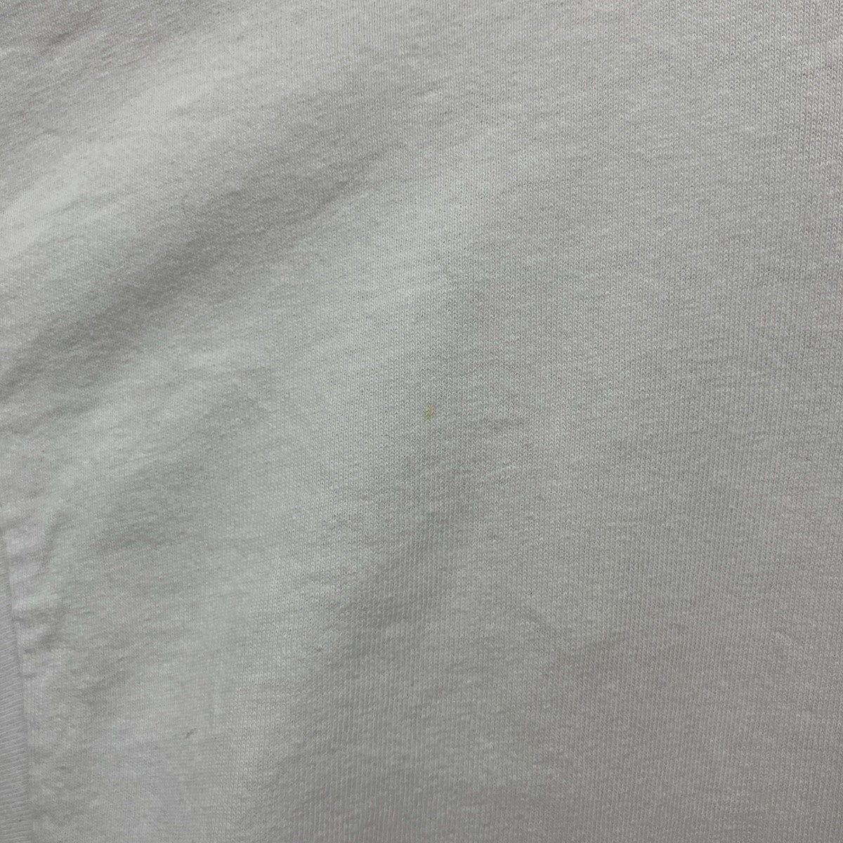 CACTUS Tシャツ 古着・中古-7枚目のアイテム画像
