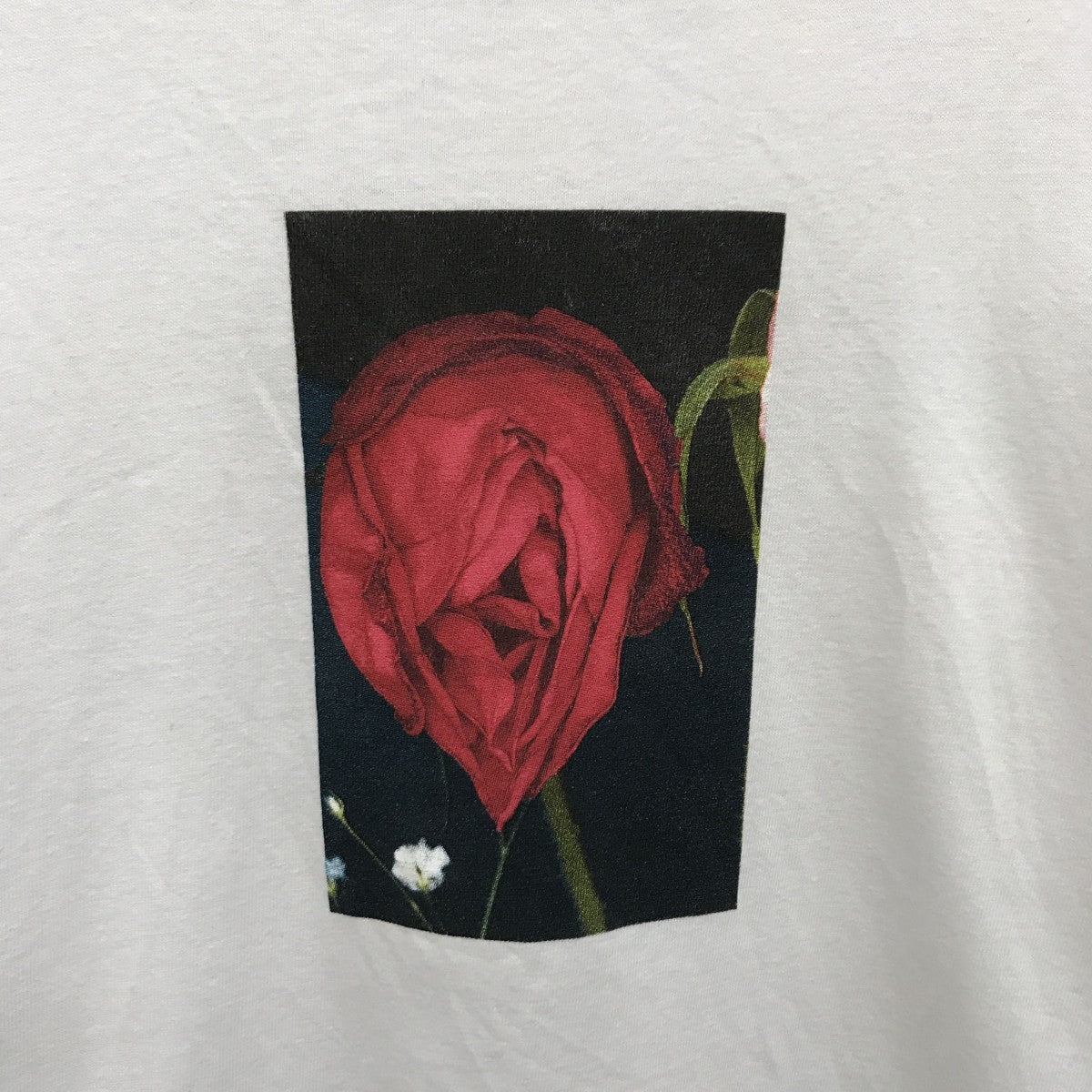 Supreme×アラーキー 16AWAraki Rose TeeTシャツ 古着・中古-5枚目のアイテム画像