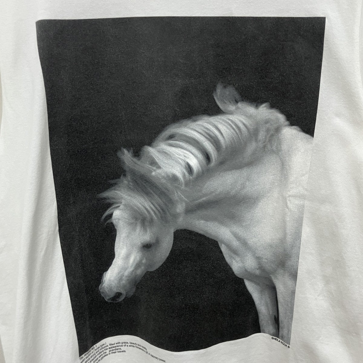 JOHN MASON SMITH HORSE No．1 SHORT SLEEVE T-SHIRTTシャツ22WCT-#452S-SL 古着・中古-5枚目のアイテム画像