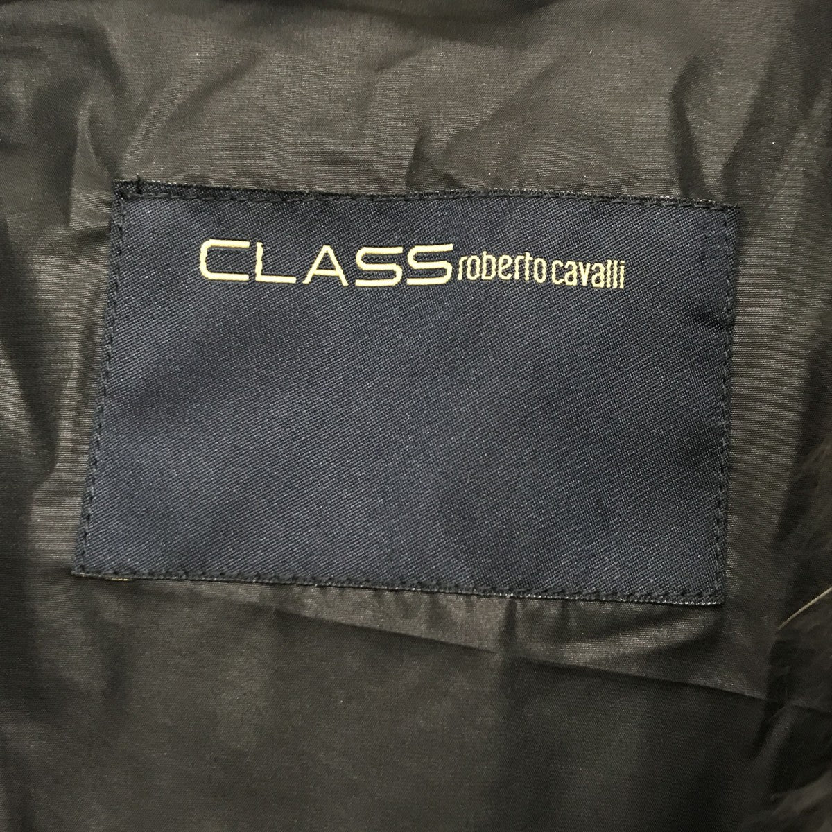 Class Roberto Cavalli ファーダウンジャケット09ICDB41J063 古着・中古-3枚目のアイテム画像