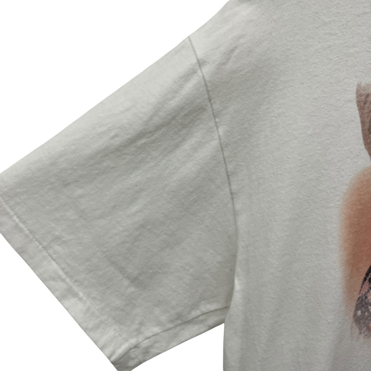 タイタニック  シングルステッチ Hanes 2枚タグTシャツ