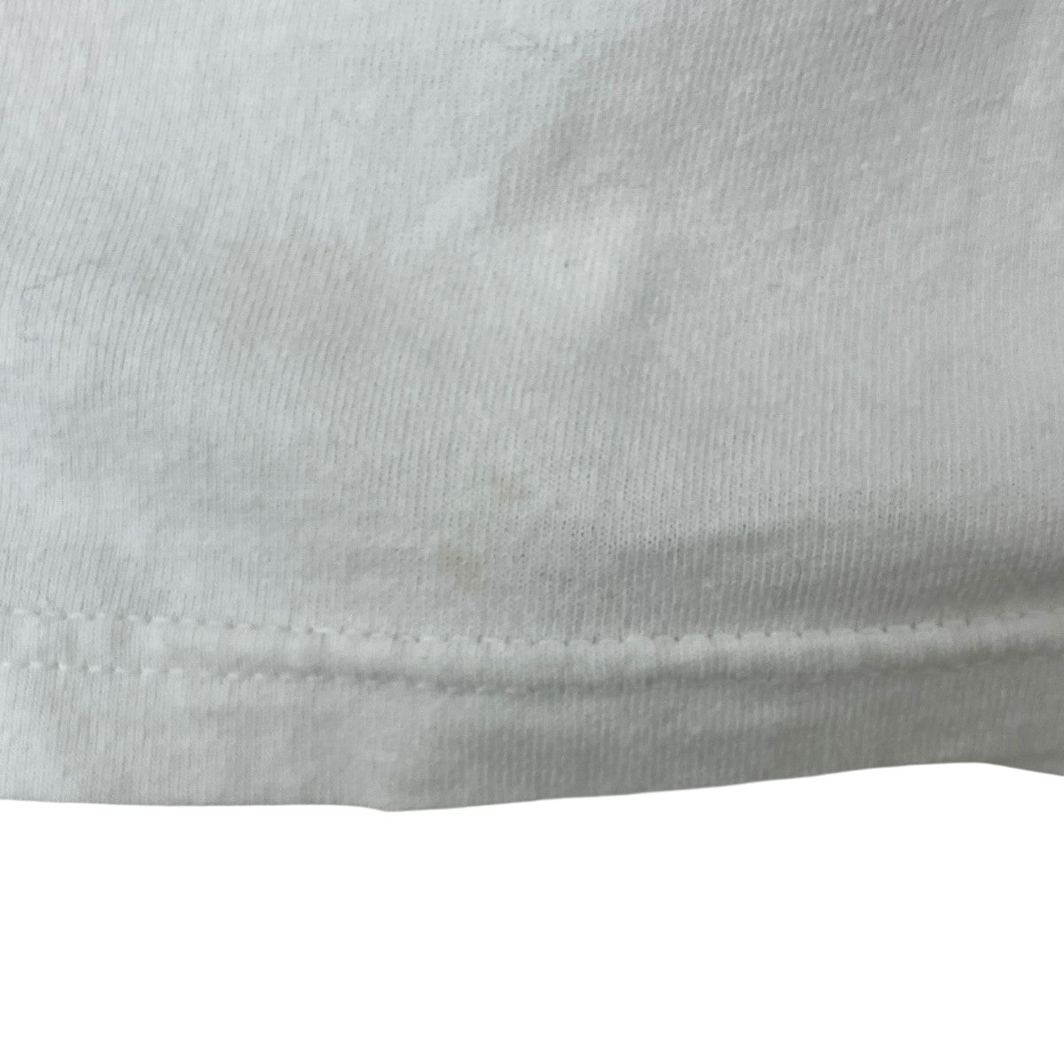 タイタニック  シングルステッチ Hanes 2枚タグTシャツ