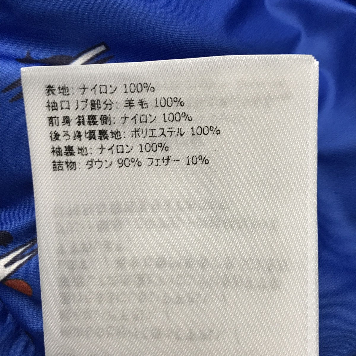 FALCONダウンジャケット
