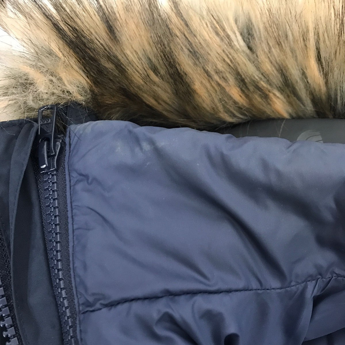 Grace Triclimate JacketダウンジャケットNP61838