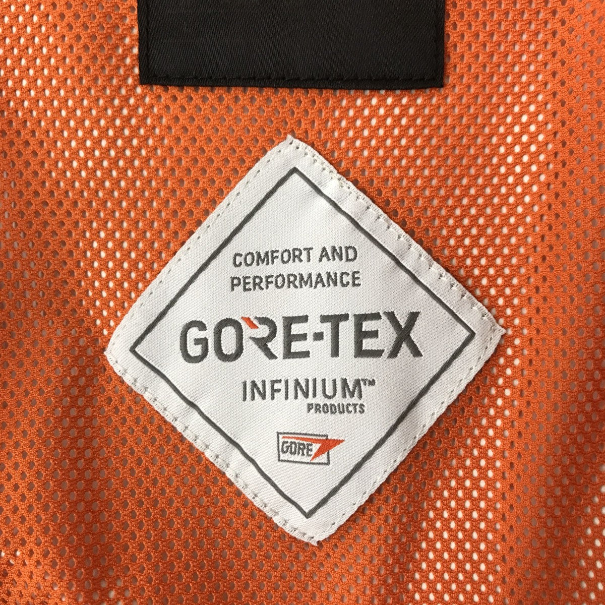 DAIWA PIER39 GORE-TEX INFINIUM TECH MOUNTAIN PARKAマウンテンパーカーBJ-16023 古着・中古-4枚目のアイテム画像