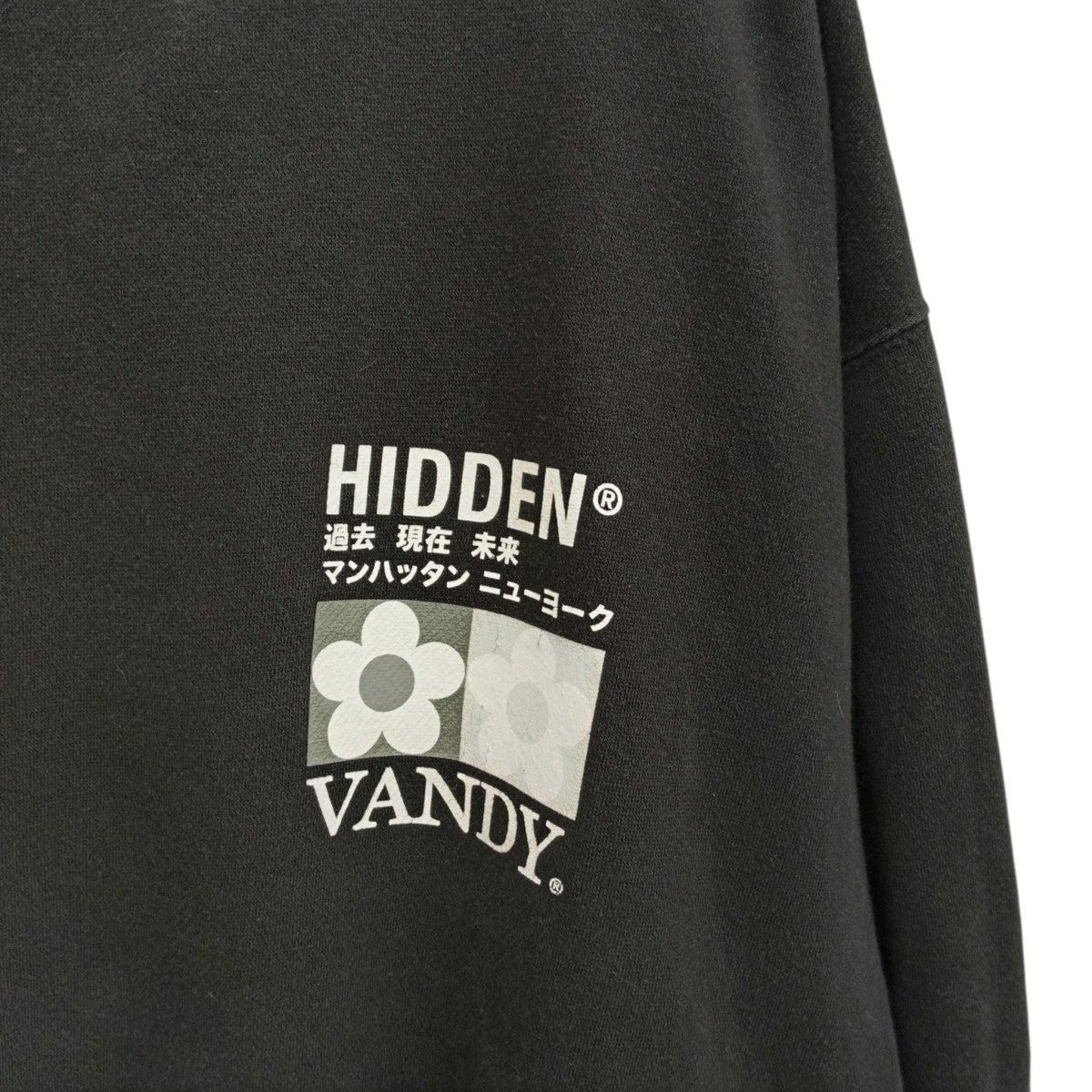 HIDDEN NY×vandy トレーナー 古着・中古-5枚目のアイテム画像