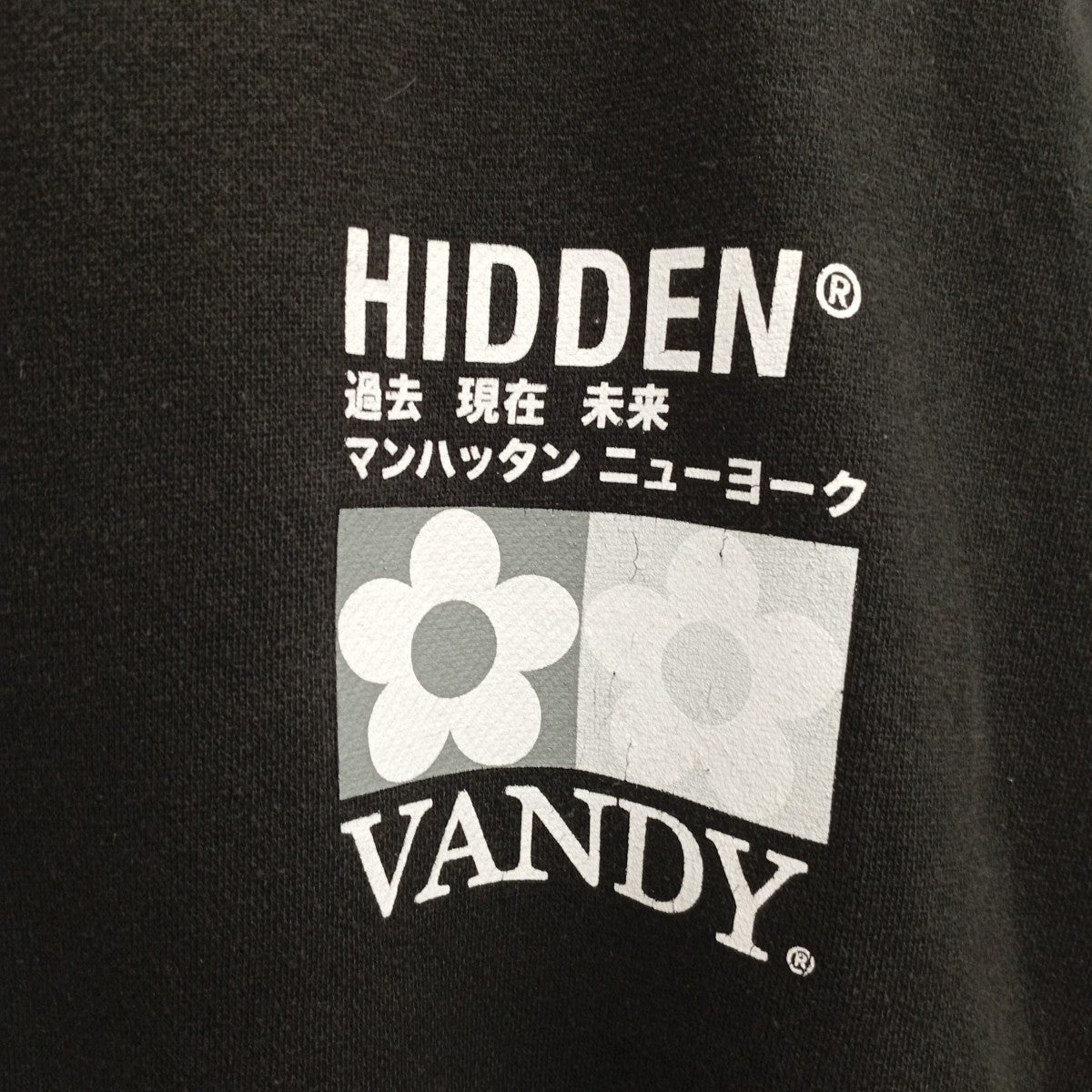 HIDDEN NY×vandy トレーナー 古着・中古-6枚目のアイテム画像