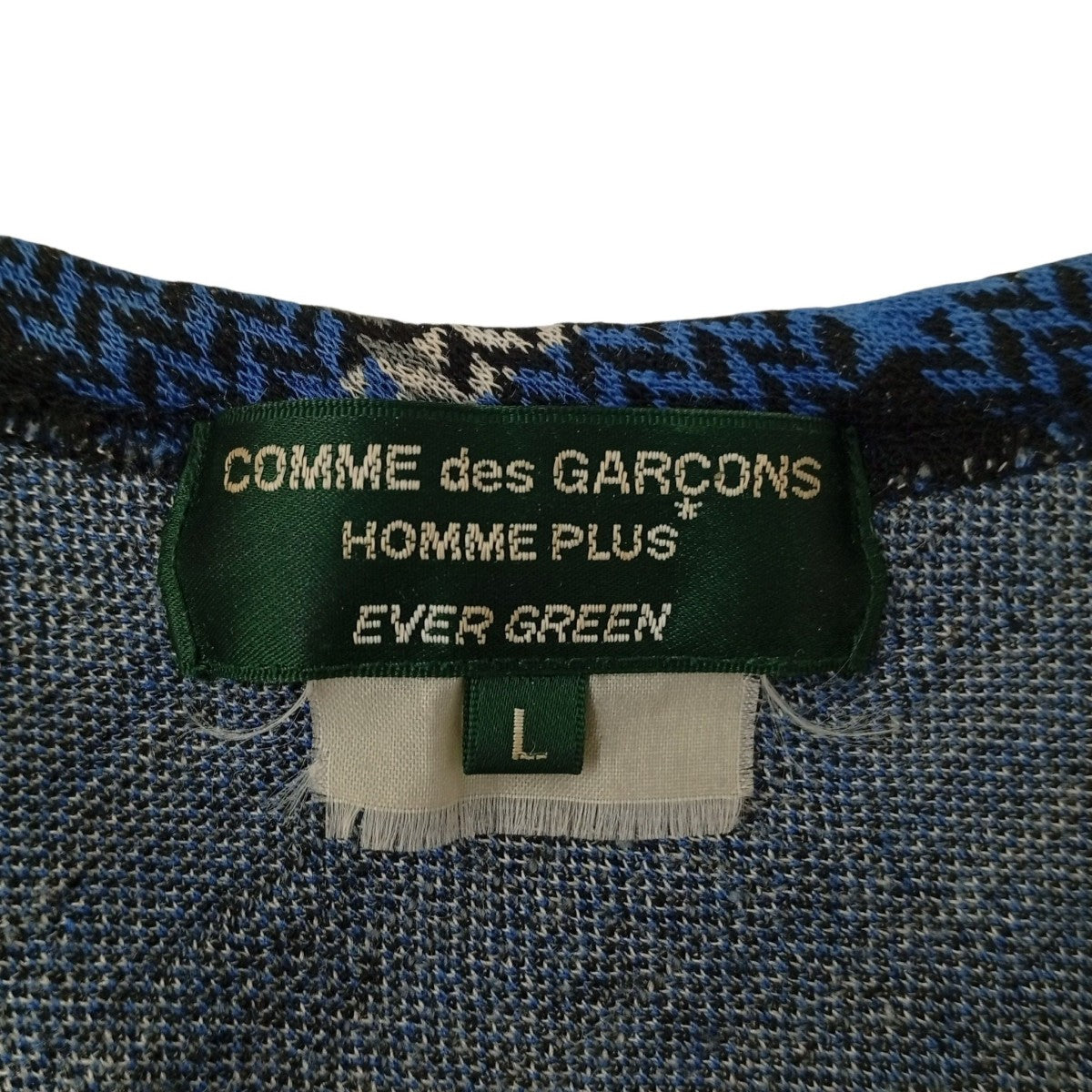 COMME des GARCONS HOMME PLUS EVER GREEN セーターPR-T202 古着・中古-3枚目のアイテム画像
