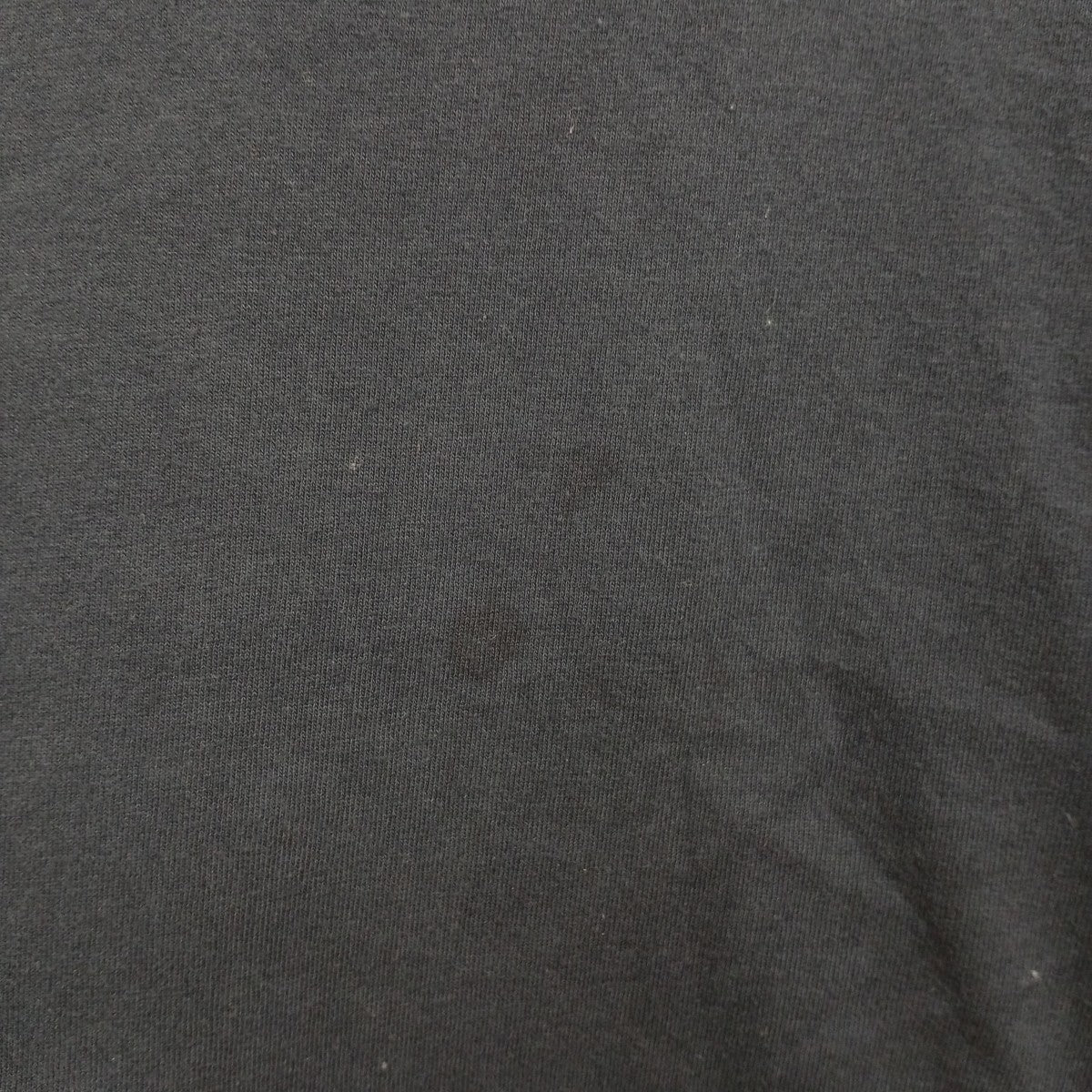 Champion Tシャツ 古着・中古-8枚目のアイテム画像