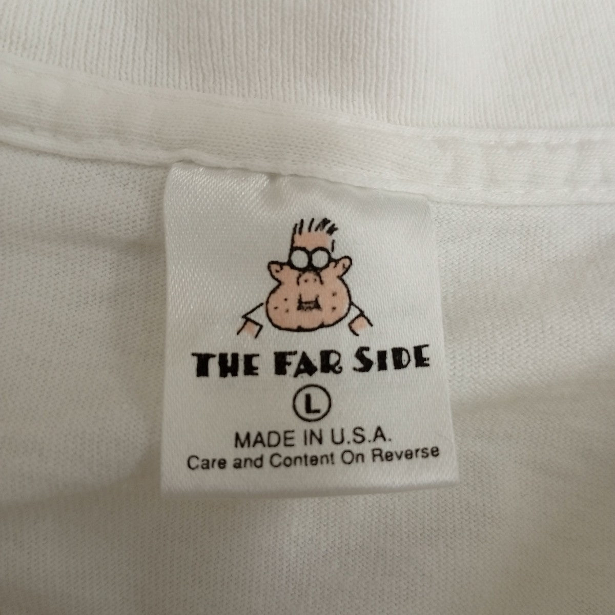 THE FAR SIDE 90s USA製 シングルステッチ c1984半袖カットソー 古着・中古-3枚目のアイテム画像