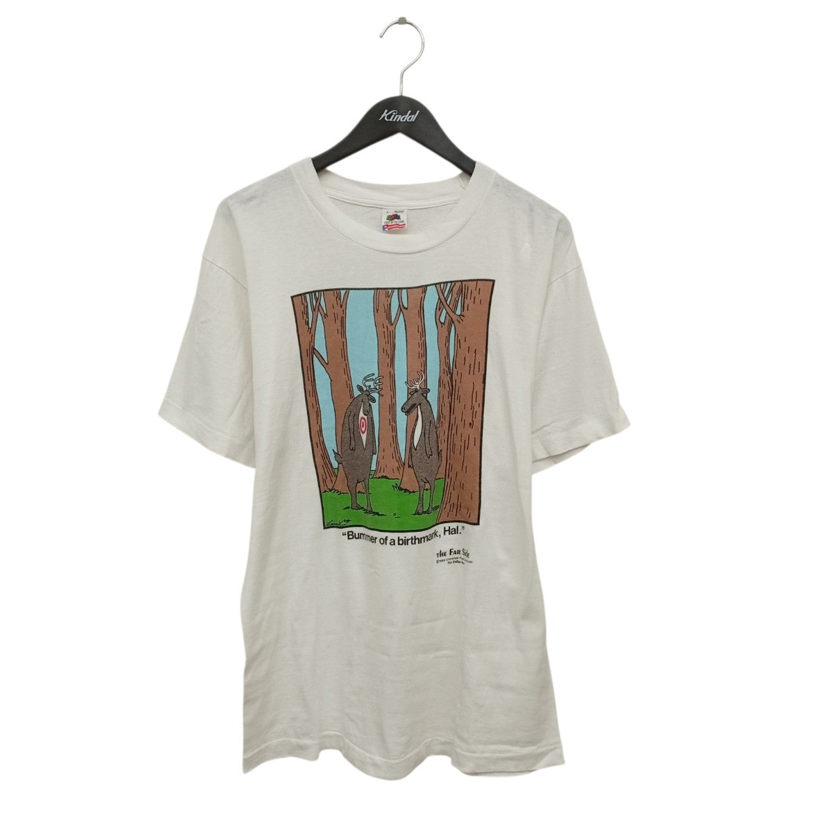 FRUIT OF THE LOOM 90s USA製半袖カットソー 古着・中古-1枚目のアイテム画像