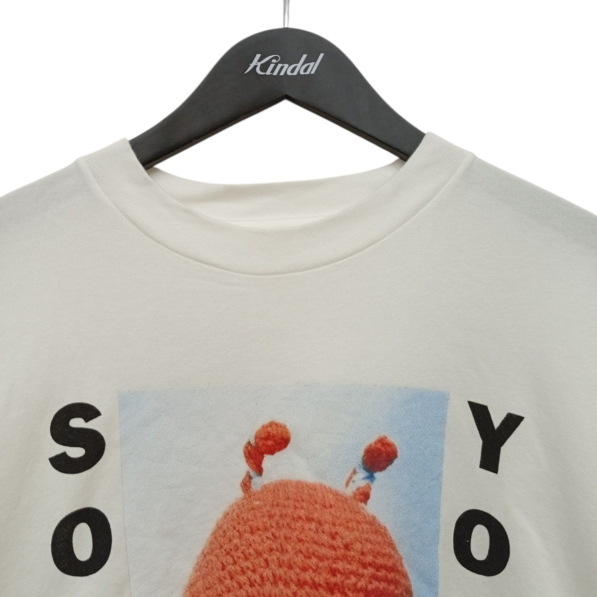 diRty Print Tee WIDE半袖カットソーbROOTS24S34SONIC