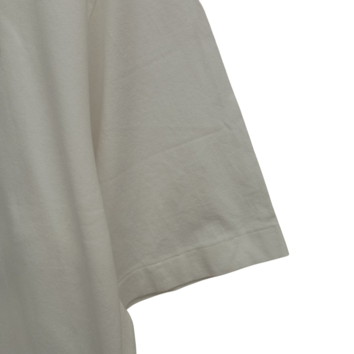 diRty Print Tee WIDE半袖カットソーbROOTS24S34SONIC