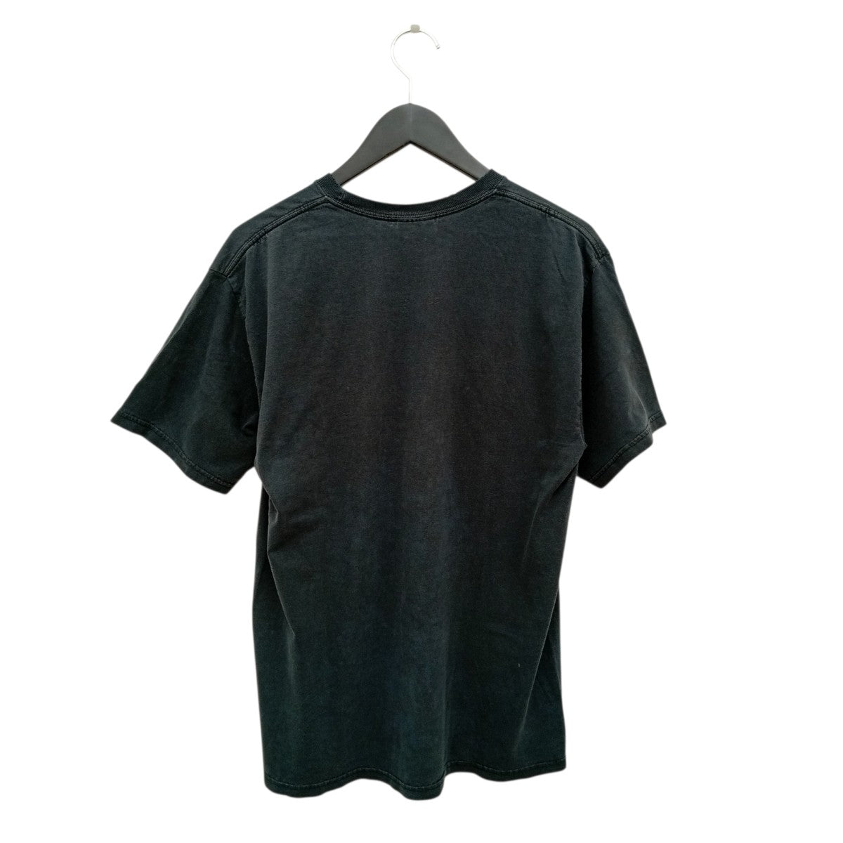 VINTAGE C2006 RED HOT CHILI PEPPERS Hanes2枚タグ 袖裾ダブルTシャツ 古着・中古-2枚目のアイテム画像