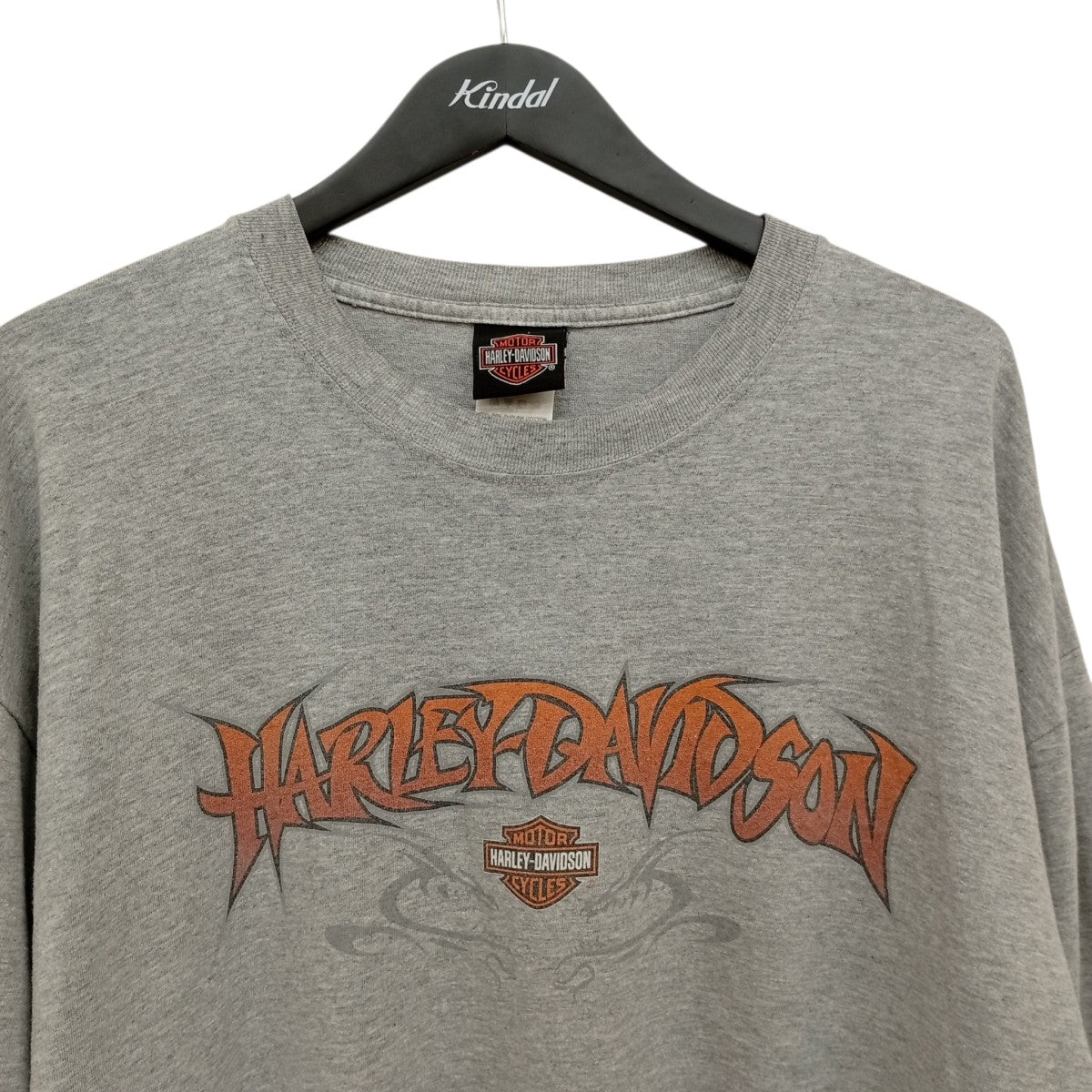 HARLEY-DAVIDSON(ハーレーダビッドソン) Hanes BEEFYボディ 袖ドラゴン