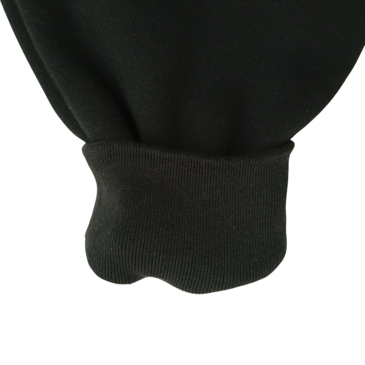 WINGSPAN HOODIEパーカーZ4000SAS